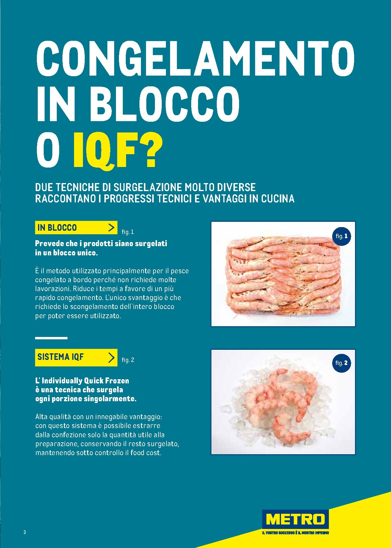 metro - Volantino Metro - Catalogo Surgelati valido dal 01/01 al 31/12 - page: 3