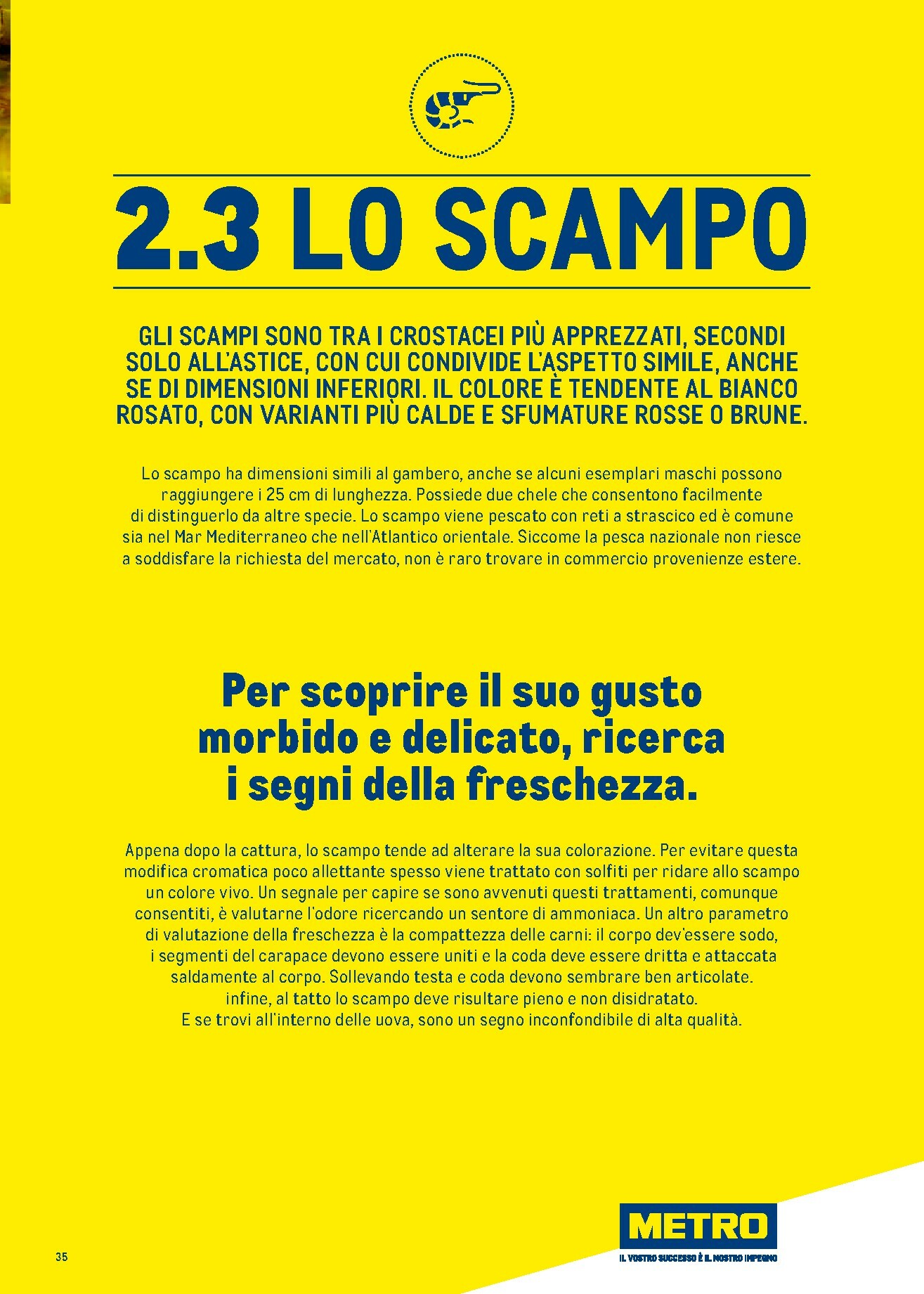 metro - Volantino Metro - Catalogo Surgelati valido dal 01/01 al 31/12 - page: 35