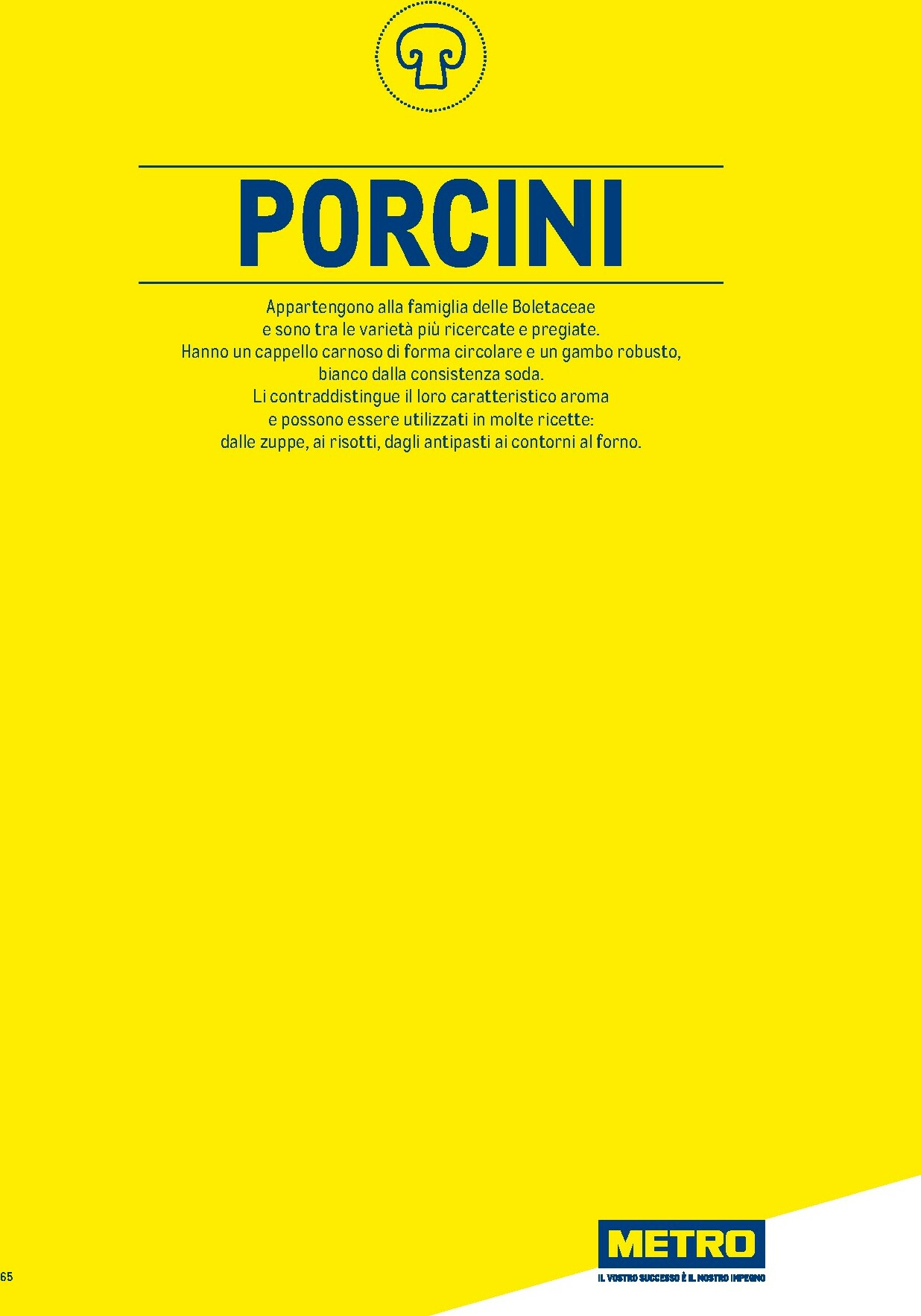 metro - Volantino Metro - Catalogo Surgelati valido dal 01/01 al 31/12 - page: 65