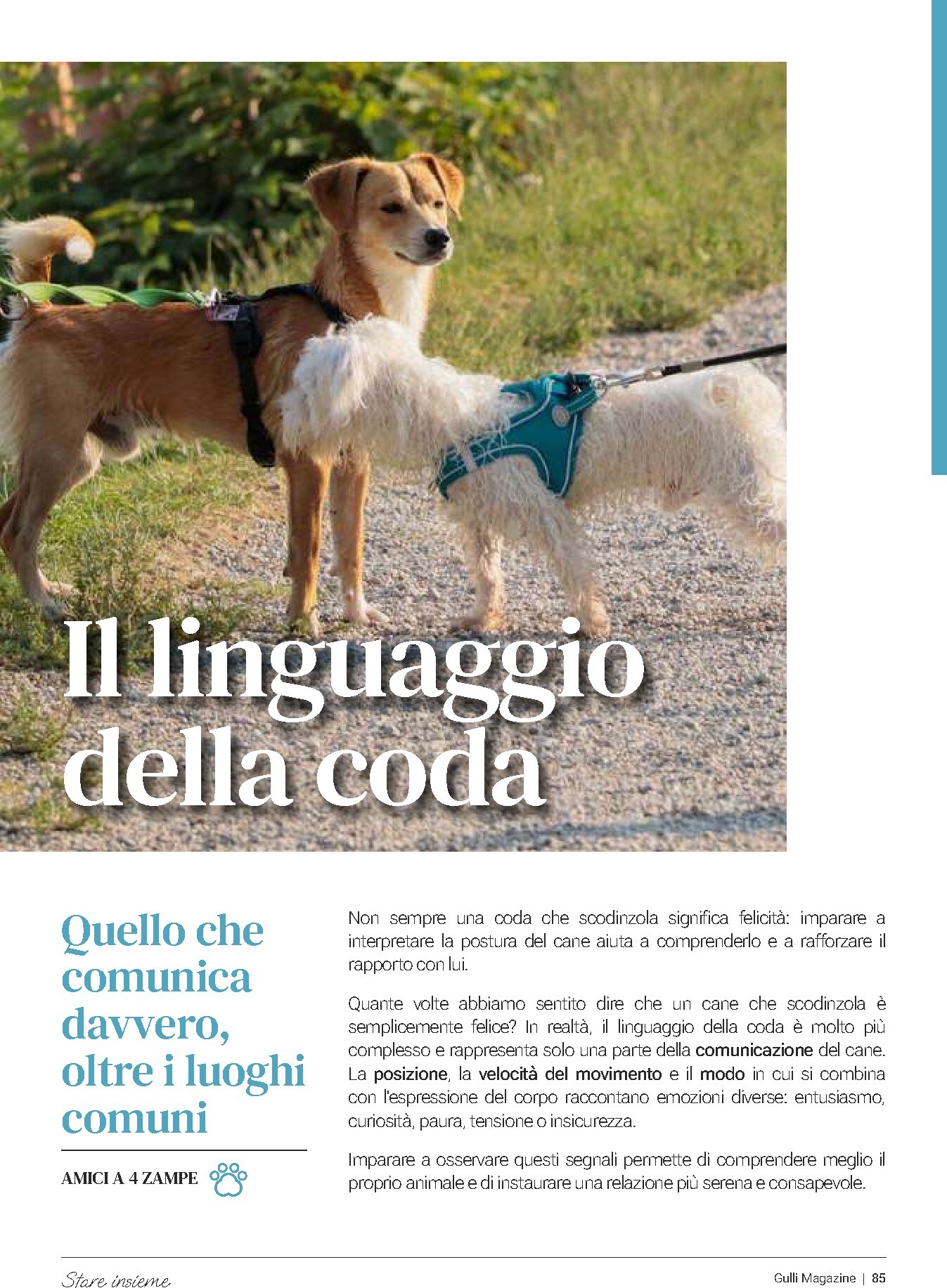 gulliver - Volantino attuale di Gulliver - Gulli Agosto 2026 valido dal sabato 01/08/2026 al lunedì 31/08/2026 - page: 84