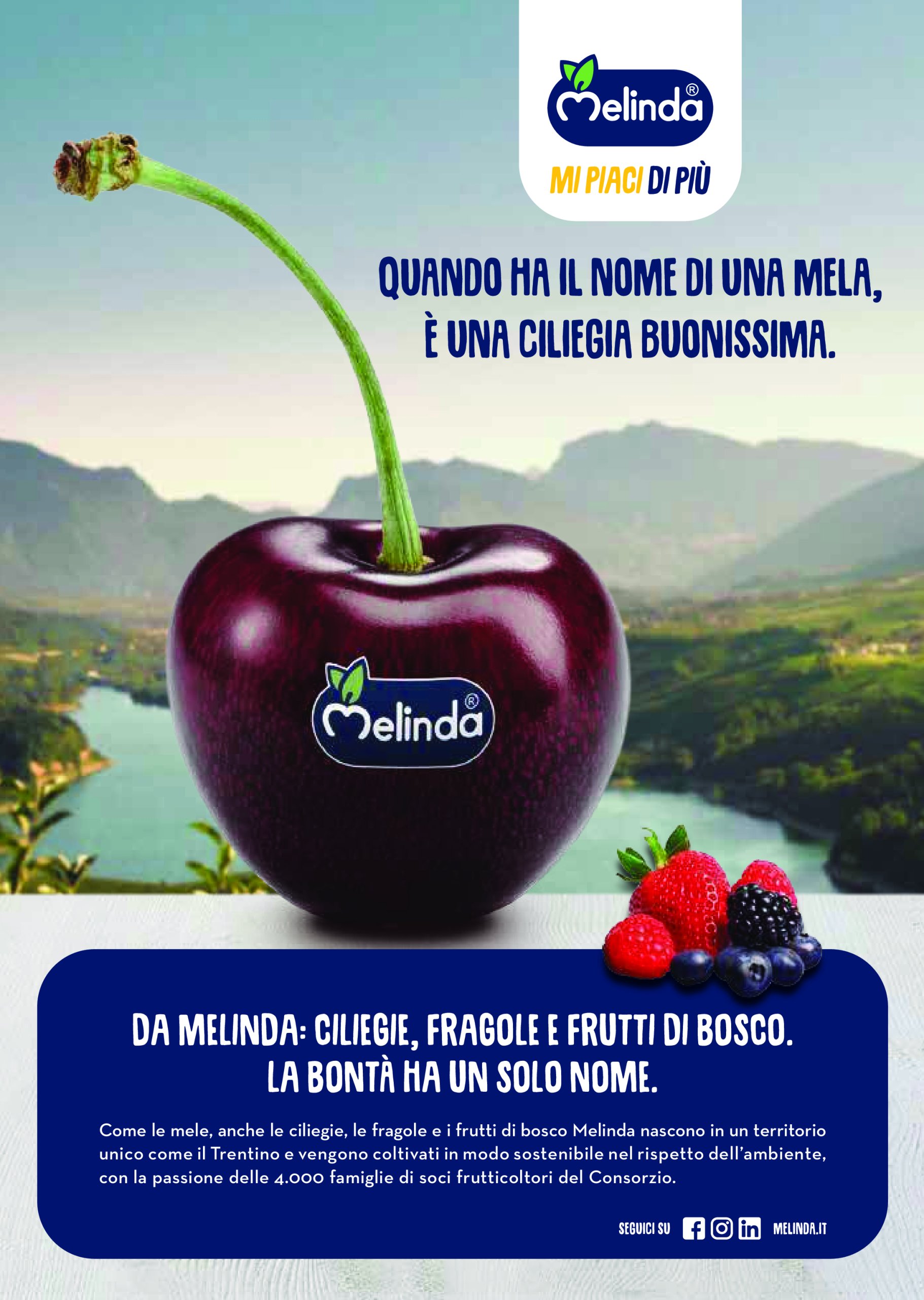 gulliver - Volantino Gulliver - Luglio valido dal 01/07 al 31/07 - page: 18 gulliver - Volantino Gulliver - Luglio valido dal 01/07 al 31/07 - page: 18