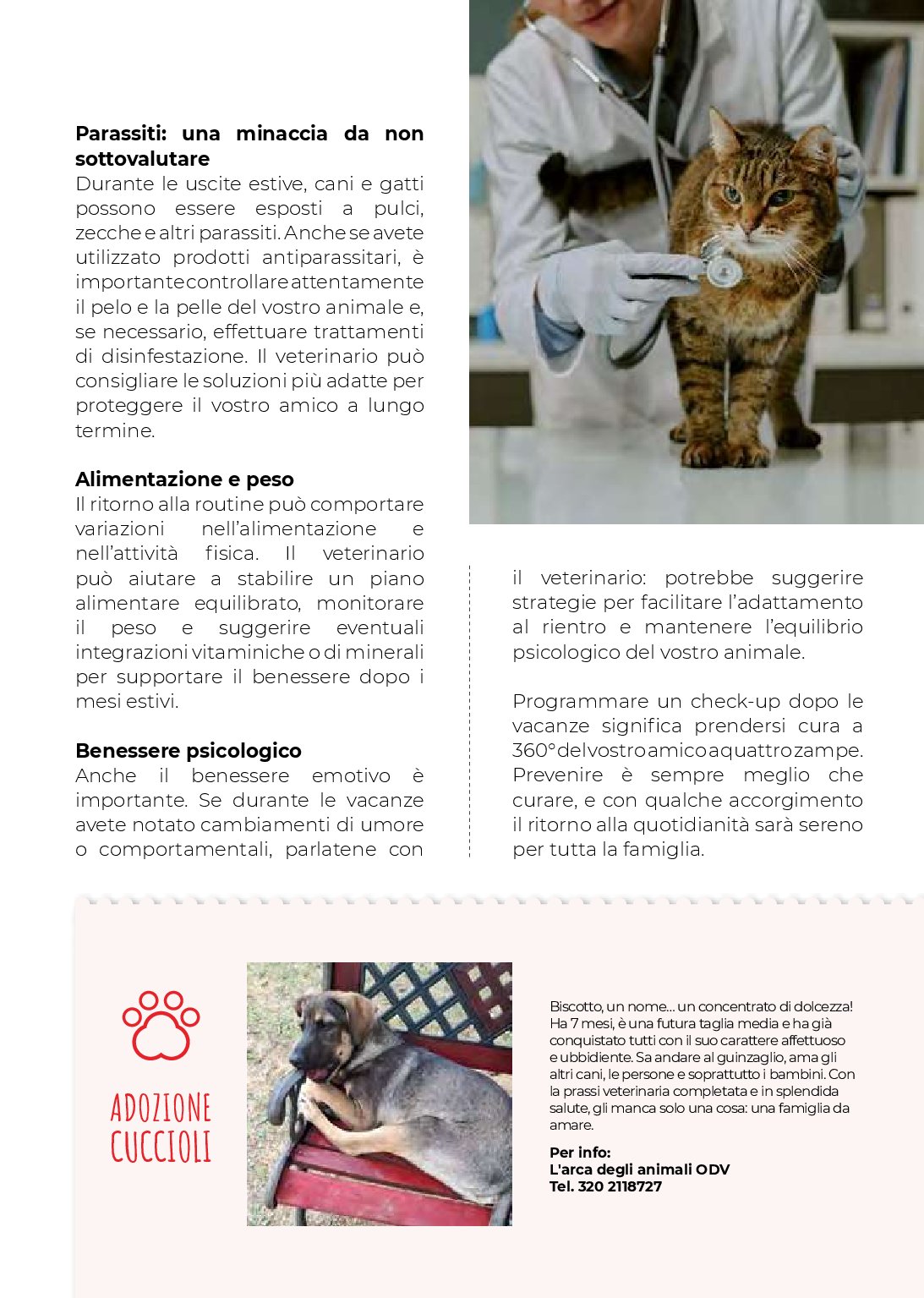 gulliver - Volantino Gulliver - Settembre Magazine valido dal 01/09 al 30/09 - page: 89