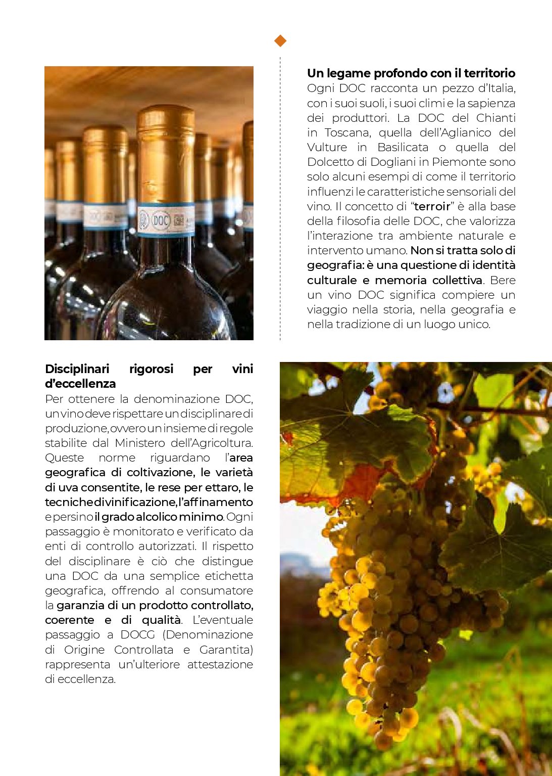 gulliver - Volantino Gulliver - Settembre Magazine valido dal 01/09 al 30/09 - page: 21