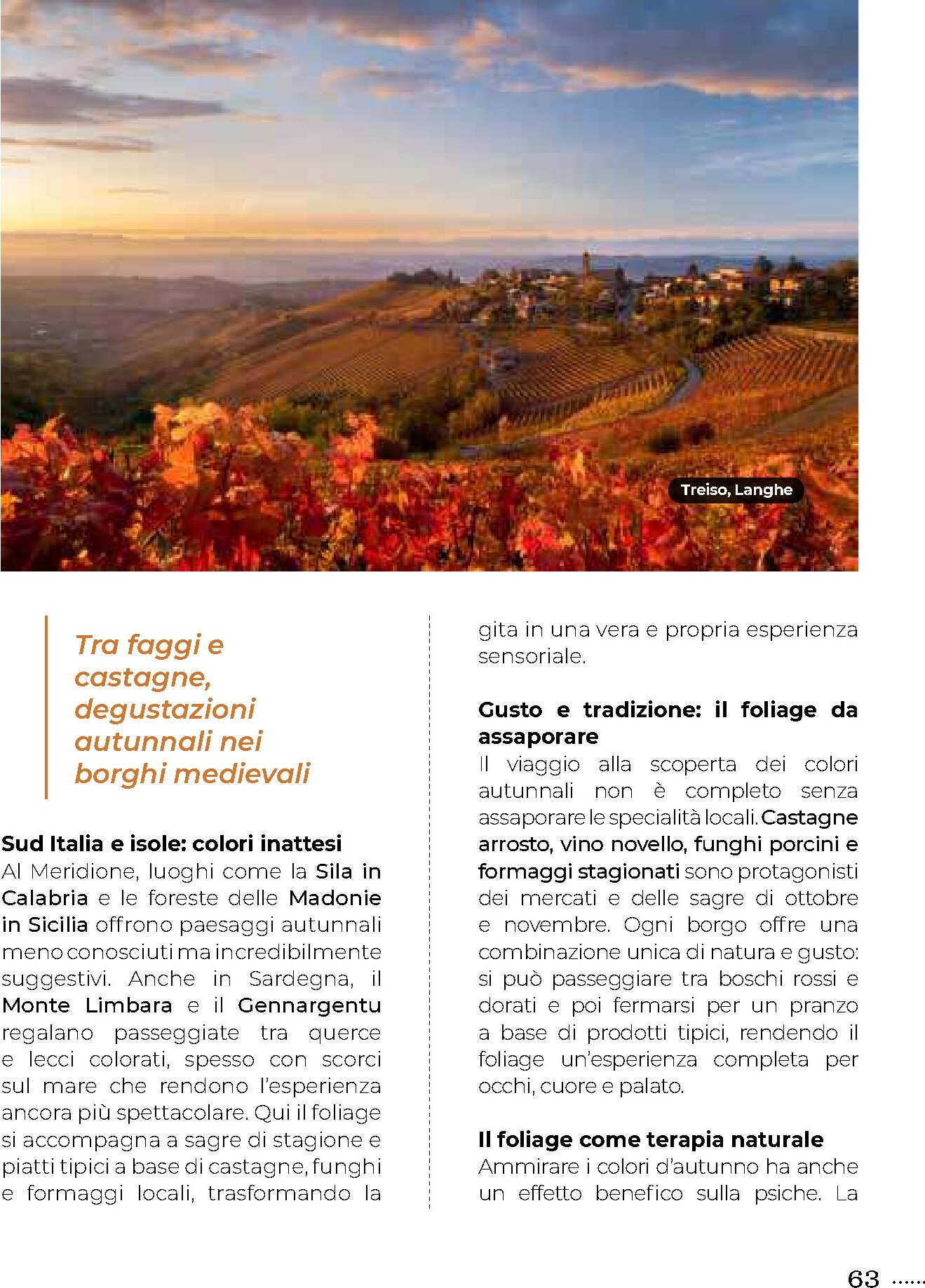 gulliver - Volantino Gulliver - Ottobre valido dal 01/10 al 31/10 - page: 63 gulliver - Volantino Gulliver - Ottobre valido dal 01/10 al 31/10 - page: 63