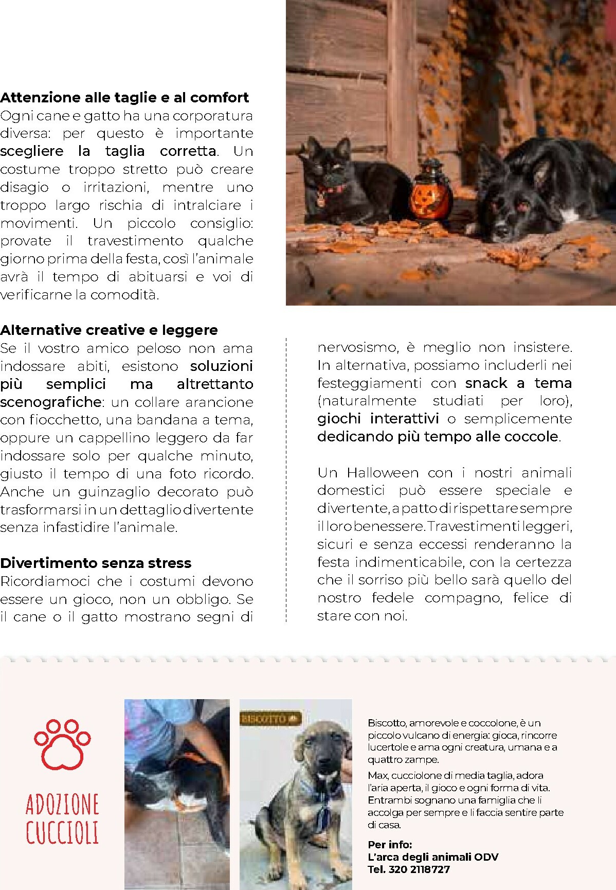 gulliver - Volantino Gulliver - Ottobre valido dal 01/10 al 31/10 - page: 89 gulliver - Volantino Gulliver - Ottobre valido dal 01/10 al 31/10 - page: 89
