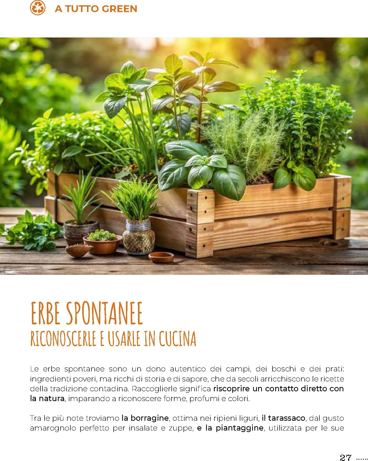 gulliver - Volantino Gulliver - Gulli Novembre valido dal 01/11 al 30/11 - page: 27