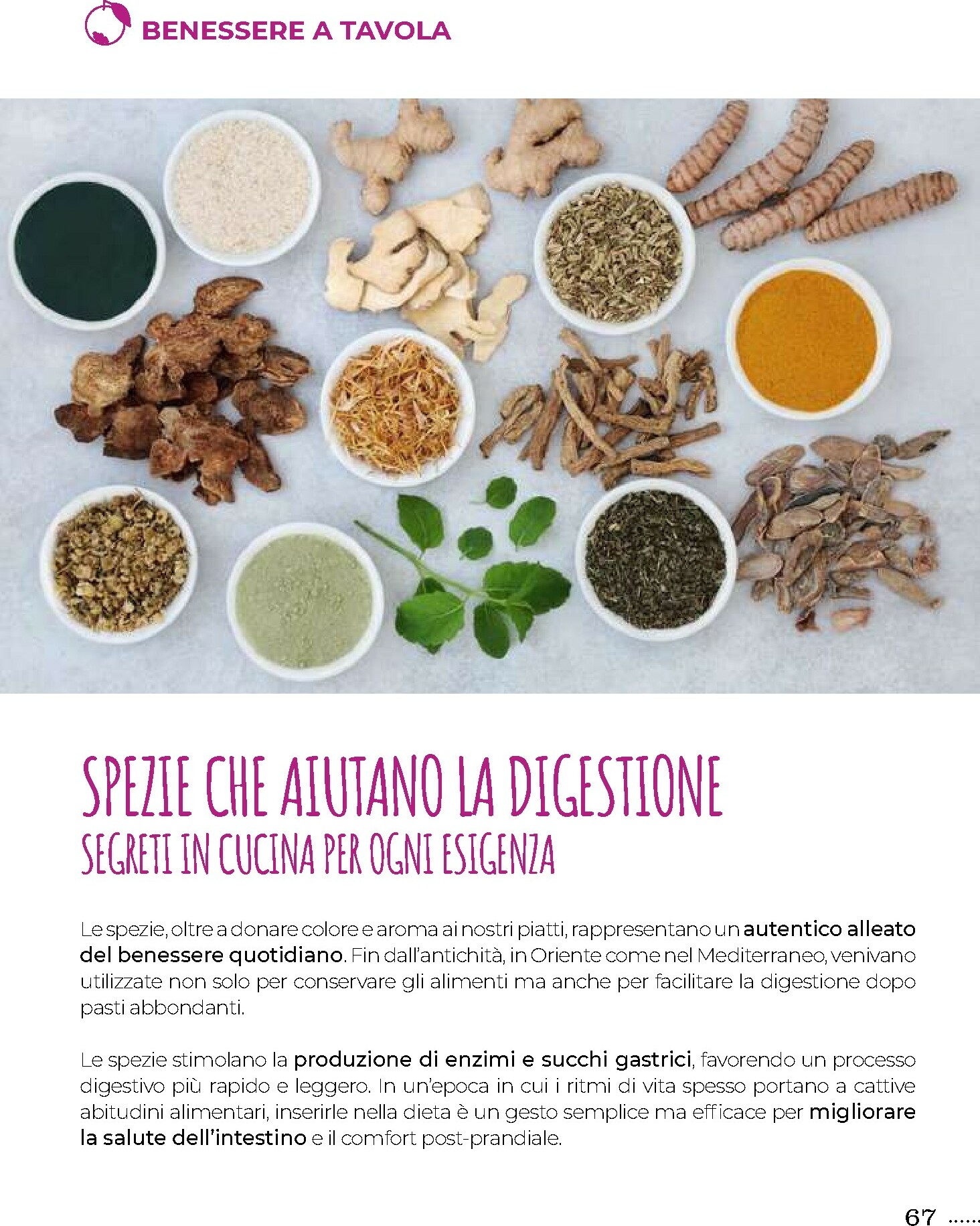 gulliver - Volantino Gulliver - Gulli Novembre valido dal 01/11 al 30/11 - page: 67