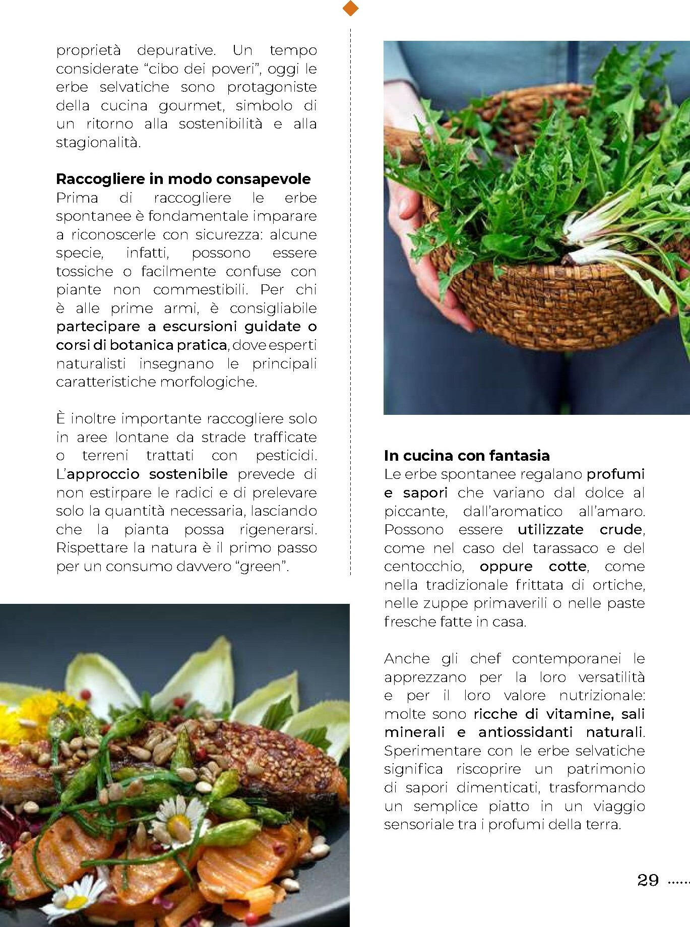 gulliver - Volantino Gulliver - Gulli Novembre valido dal 01/11 al 30/11 - page: 29