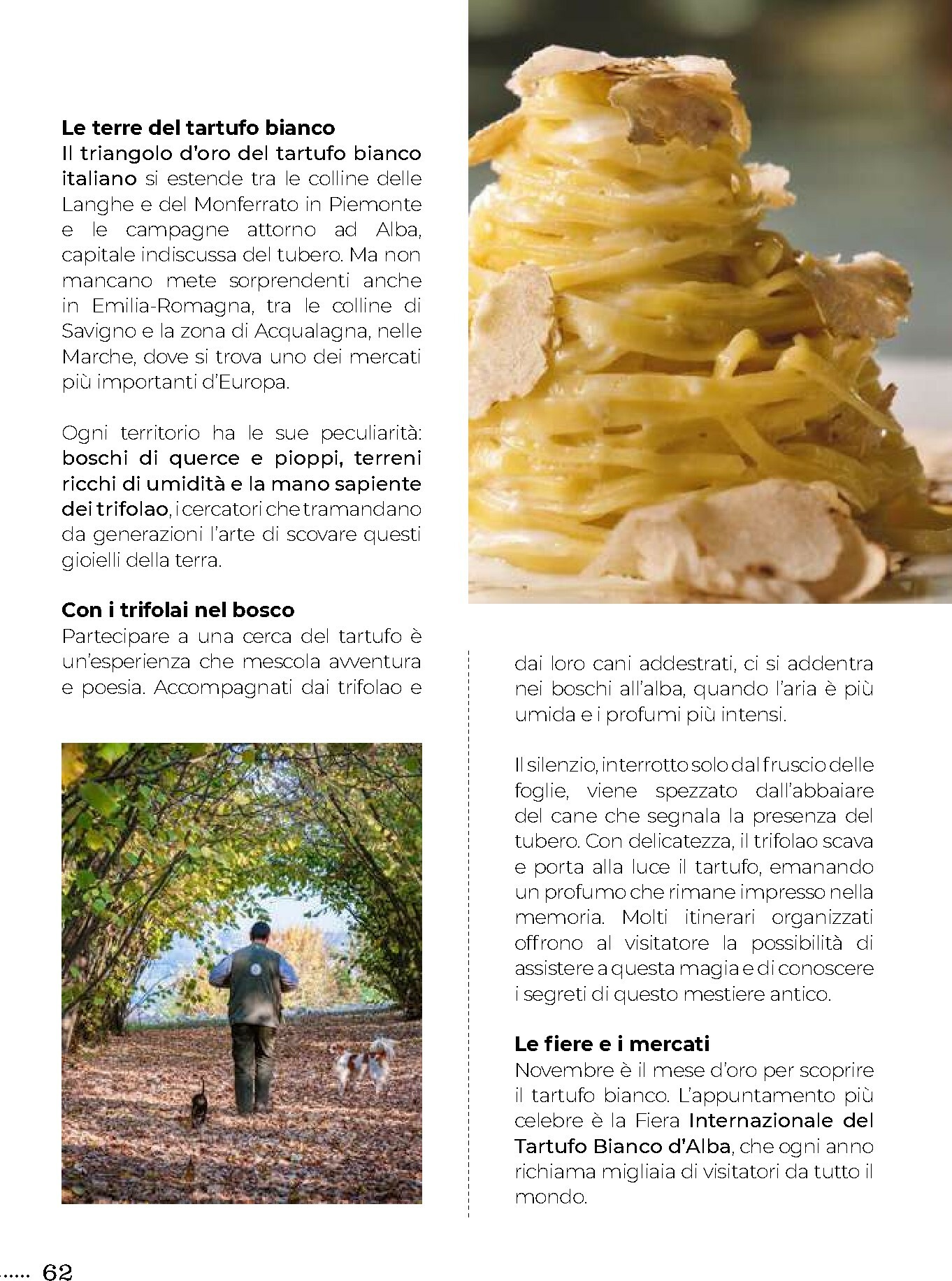 gulliver - Volantino Gulliver - Gulli Novembre valido dal 01/11 al 30/11 - page: 62