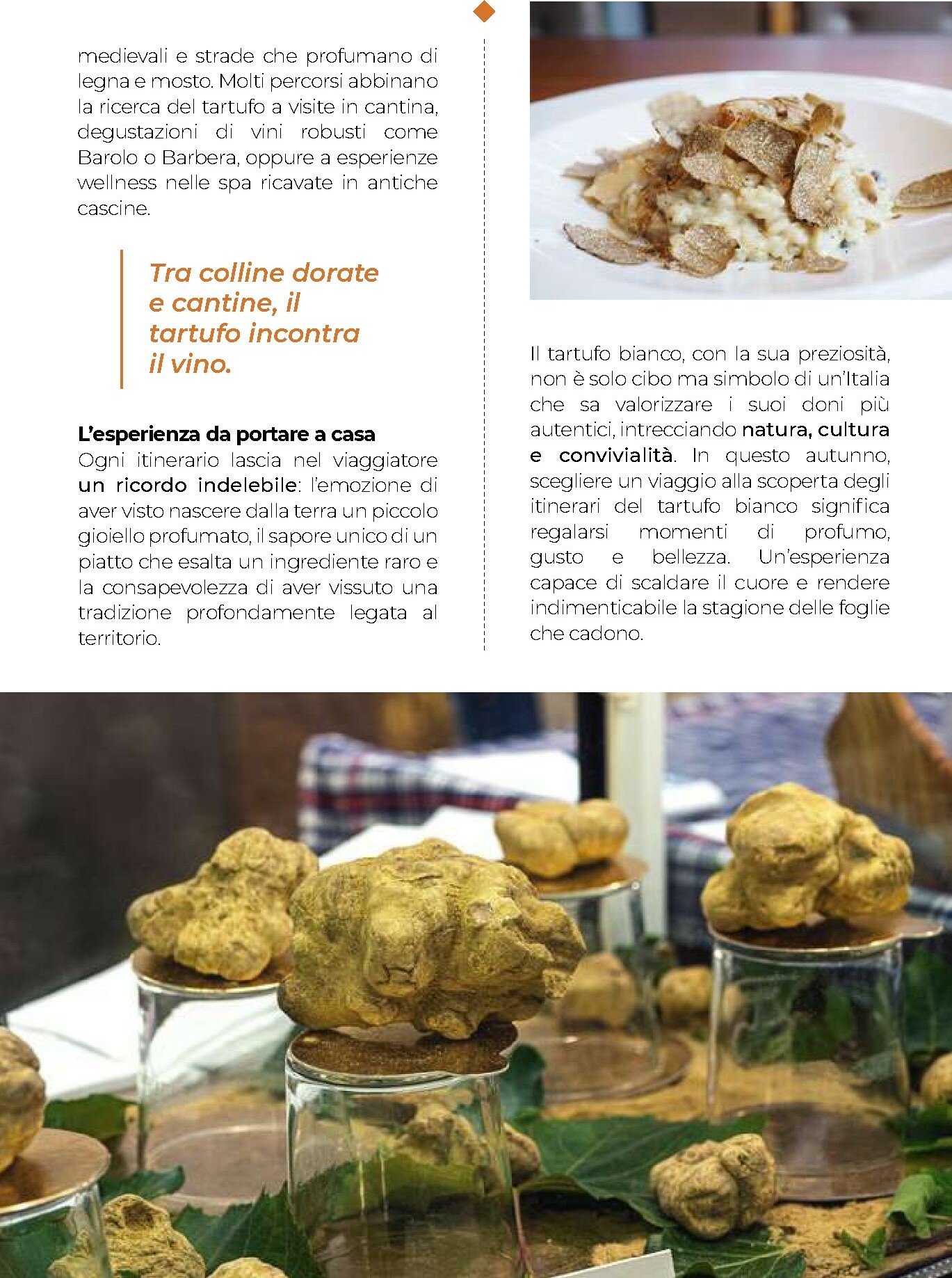 gulliver - Volantino Gulliver - Gulli Novembre valido dal 01/11 al 30/11 - page: 65