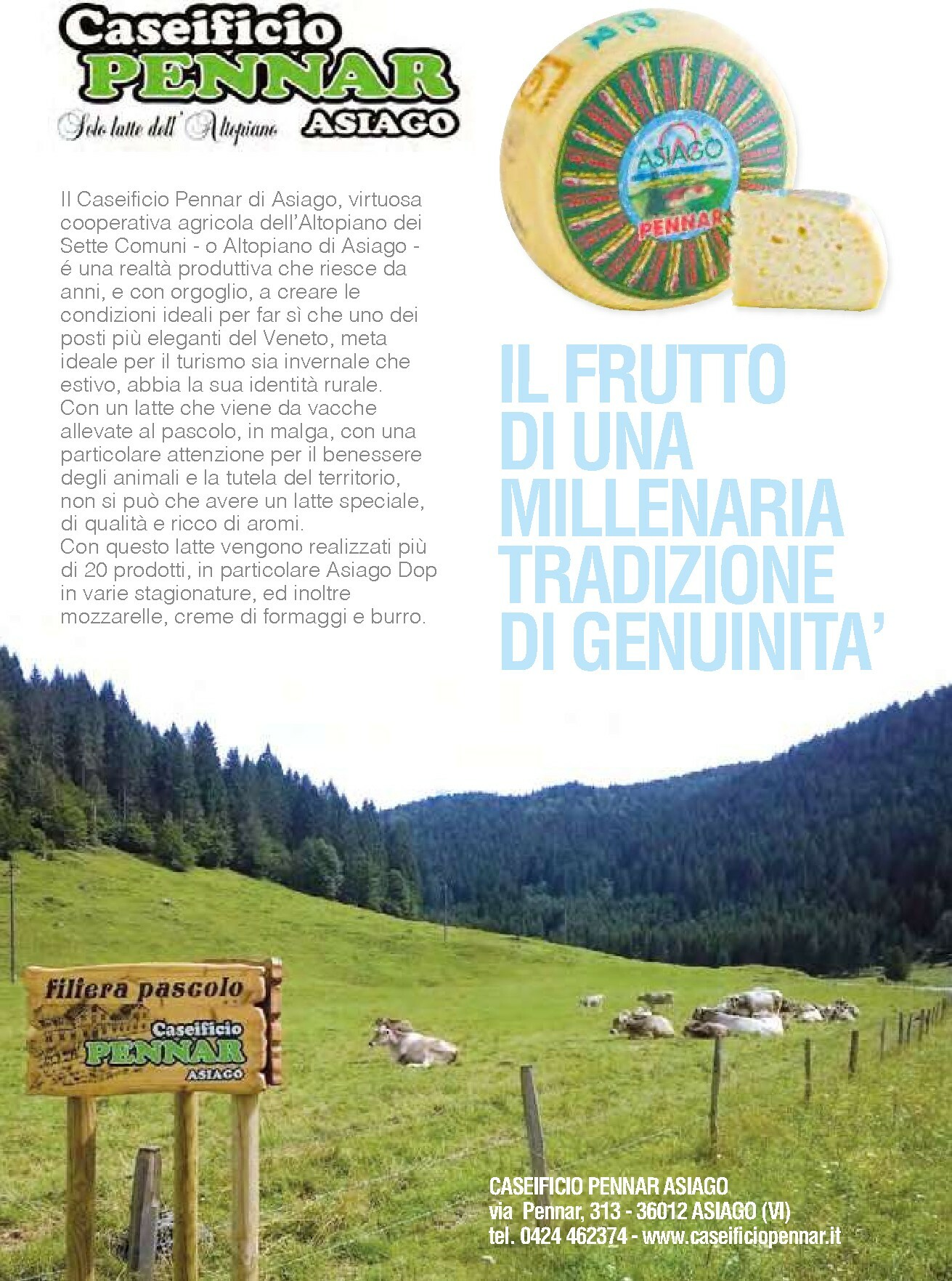 gulliver - Volantino Gulliver - Gulli Dicembre valido dal 01/12 al 31/12 - page: 60