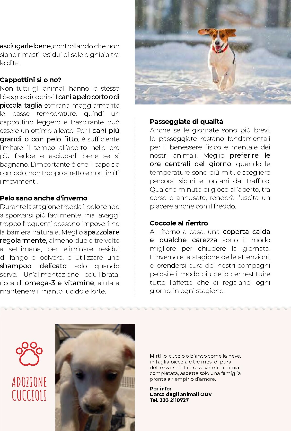 gulliver - Volantino Gulliver - Gulli Dicembre valido dal 01/12 al 31/12 - page: 89