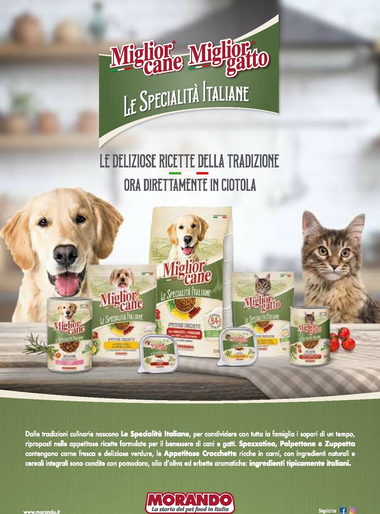 gulliver - Volantino Gulliver - Gulli Gennaio valido dal 01/01 al 31/01 - page: 87