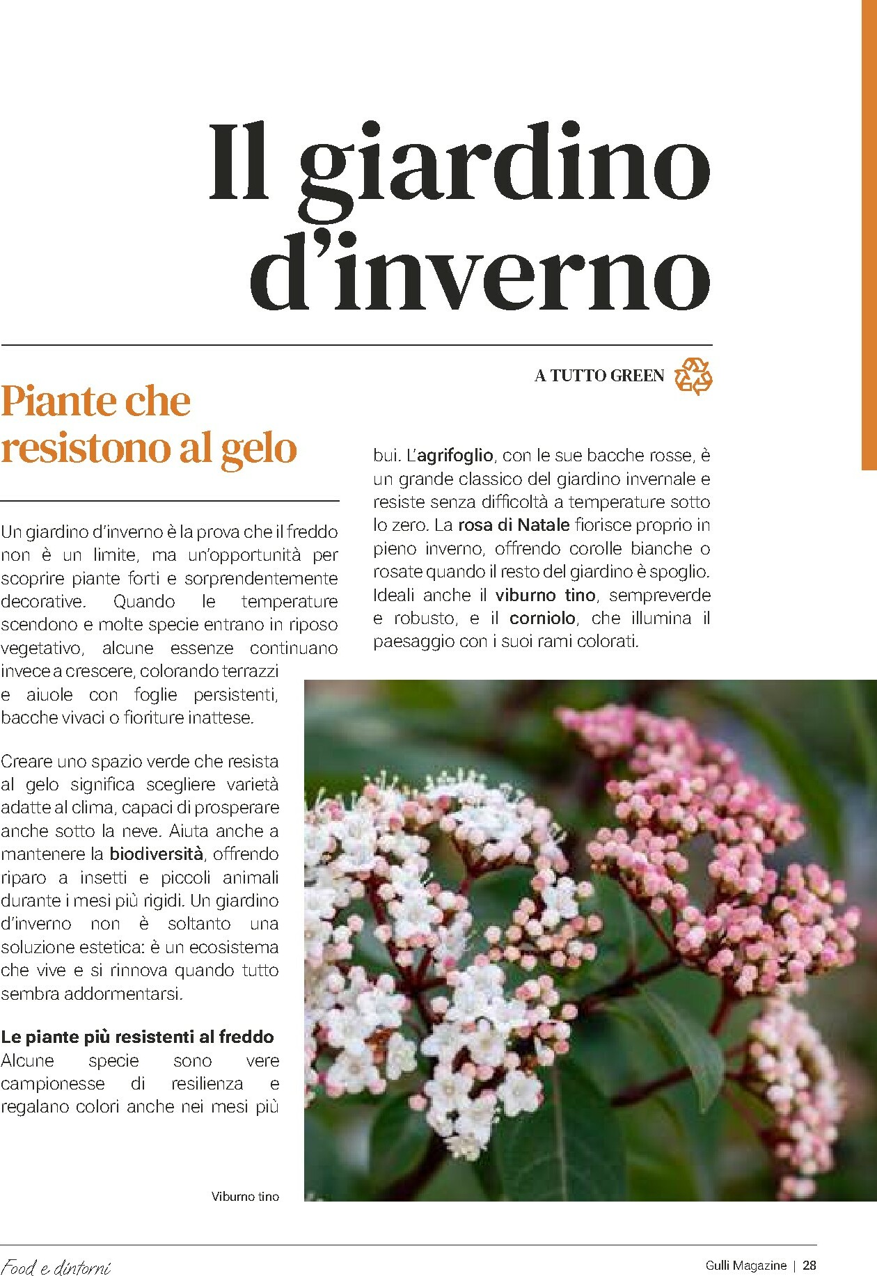 gulliver - Volantino Gulliver - Gulli Gennaio valido dal 01/01 al 31/01 - page: 28