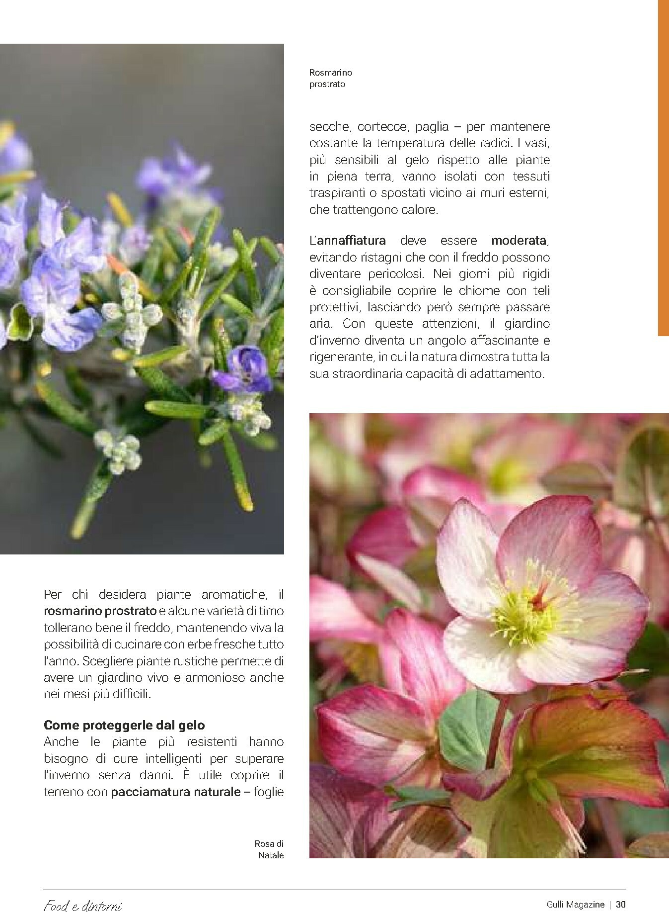 gulliver - Volantino Gulliver - Gulli Gennaio valido dal 01/01 al 31/01 - page: 30