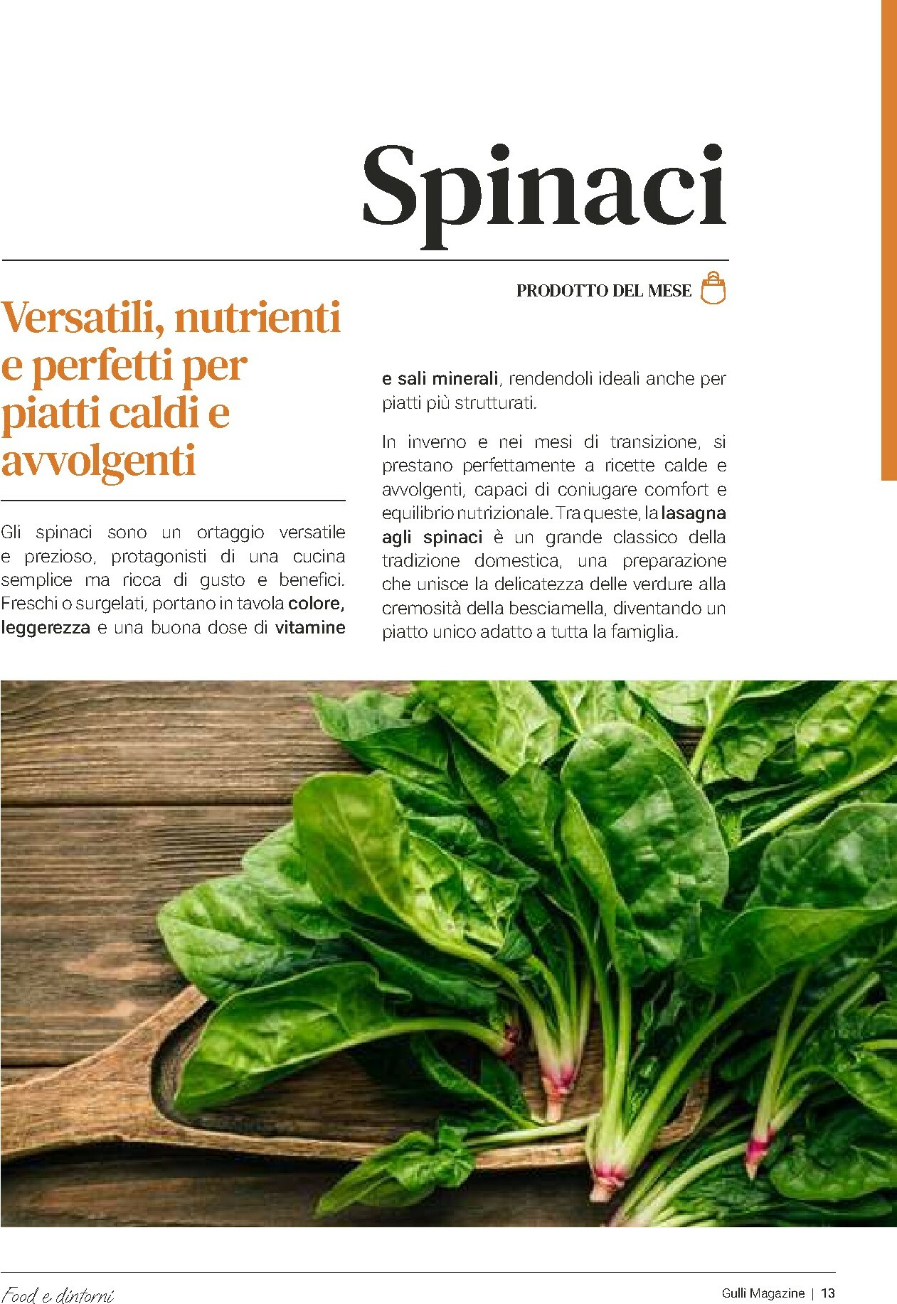 gulliver - Volantino Gulliver - Febbraio valido dal 01/02/2026 al 28/02/2026 - page: 13