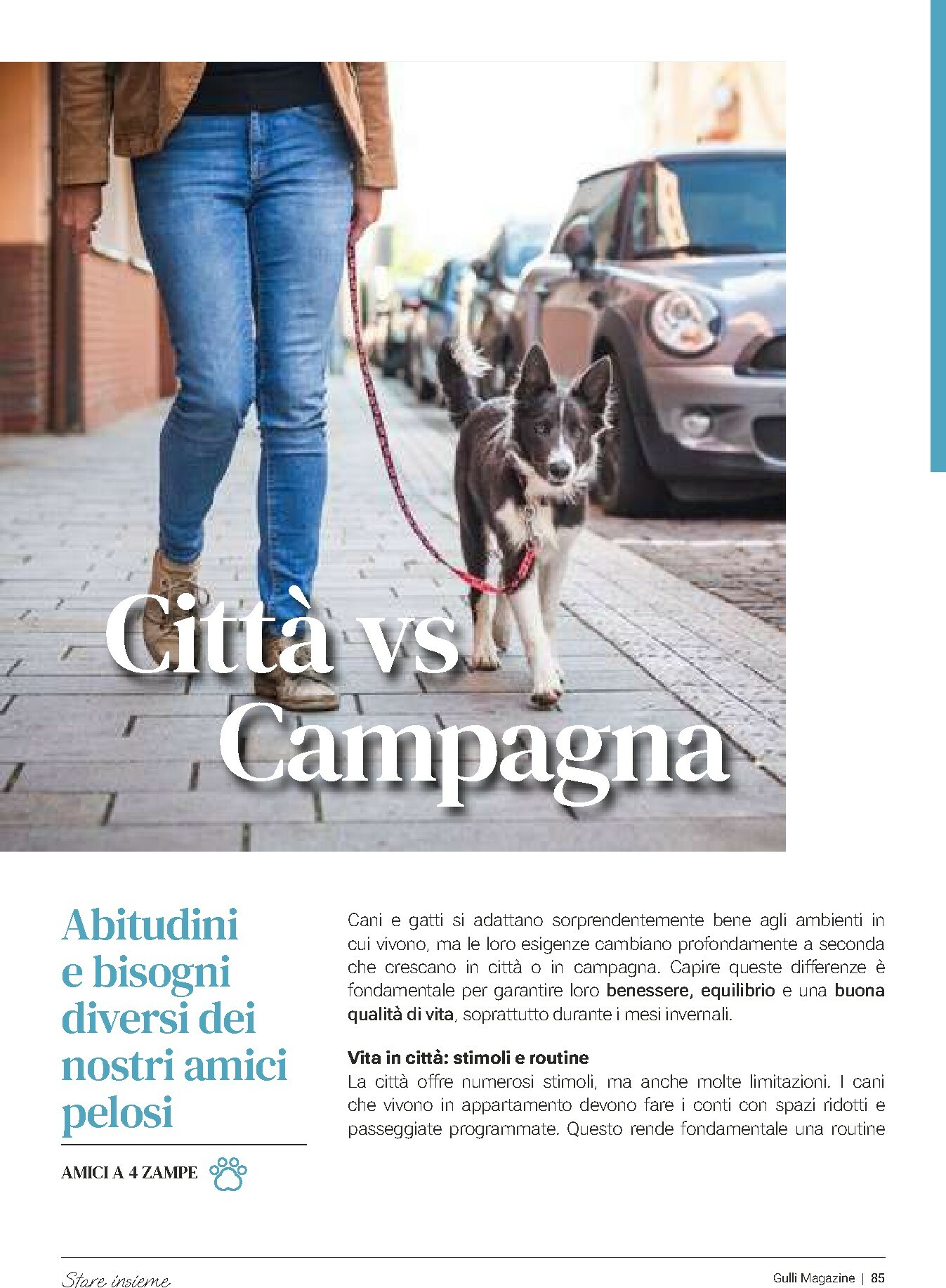 gulliver - Volantino Gulliver - Febbraio valido dal 01/02/2026 al 28/02/2026 - page: 85