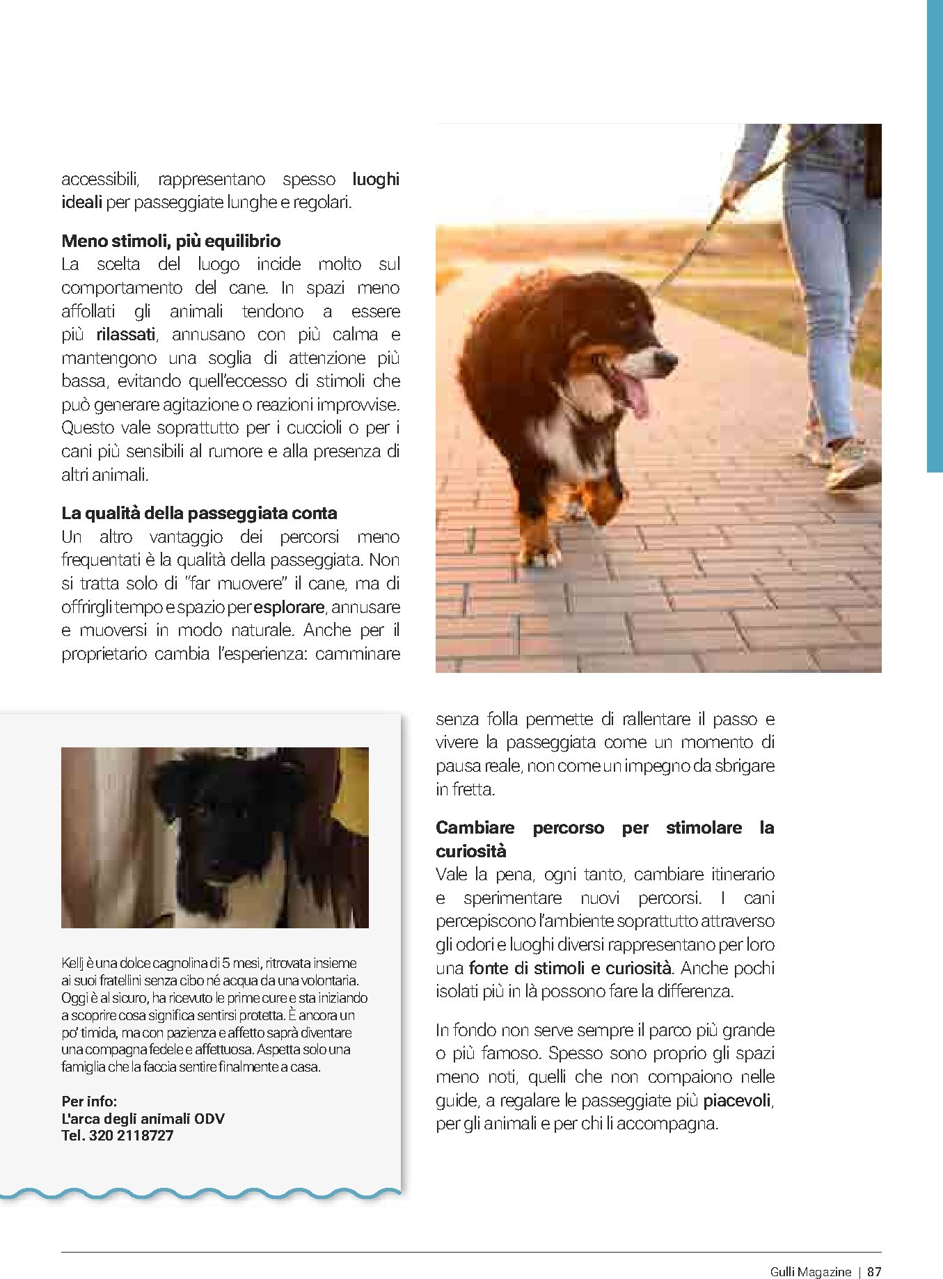 gulliver - Volantino Gulliver - Marzo valido dal 01/03/2026 al 31/03/2026 - page: 87