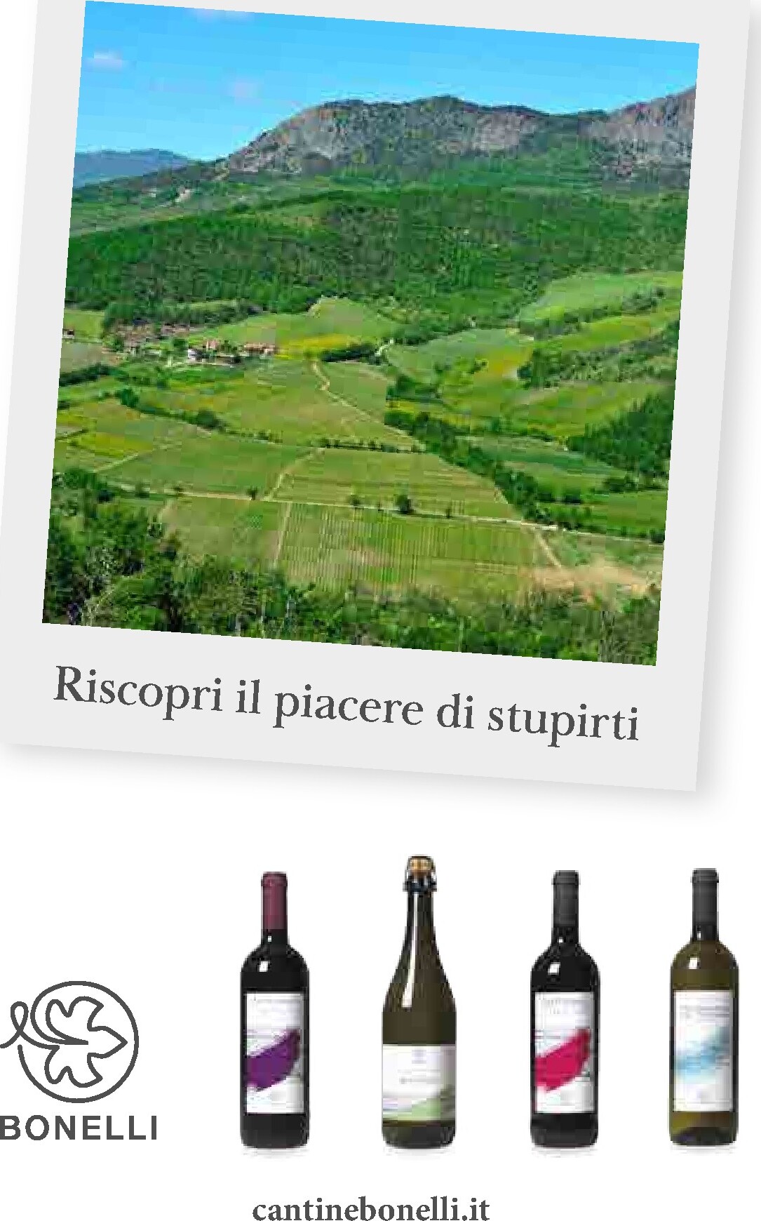 gulliver - Volantino Gulliver - Marzo valido dal 01/03/2026 al 31/03/2026 - page: 56