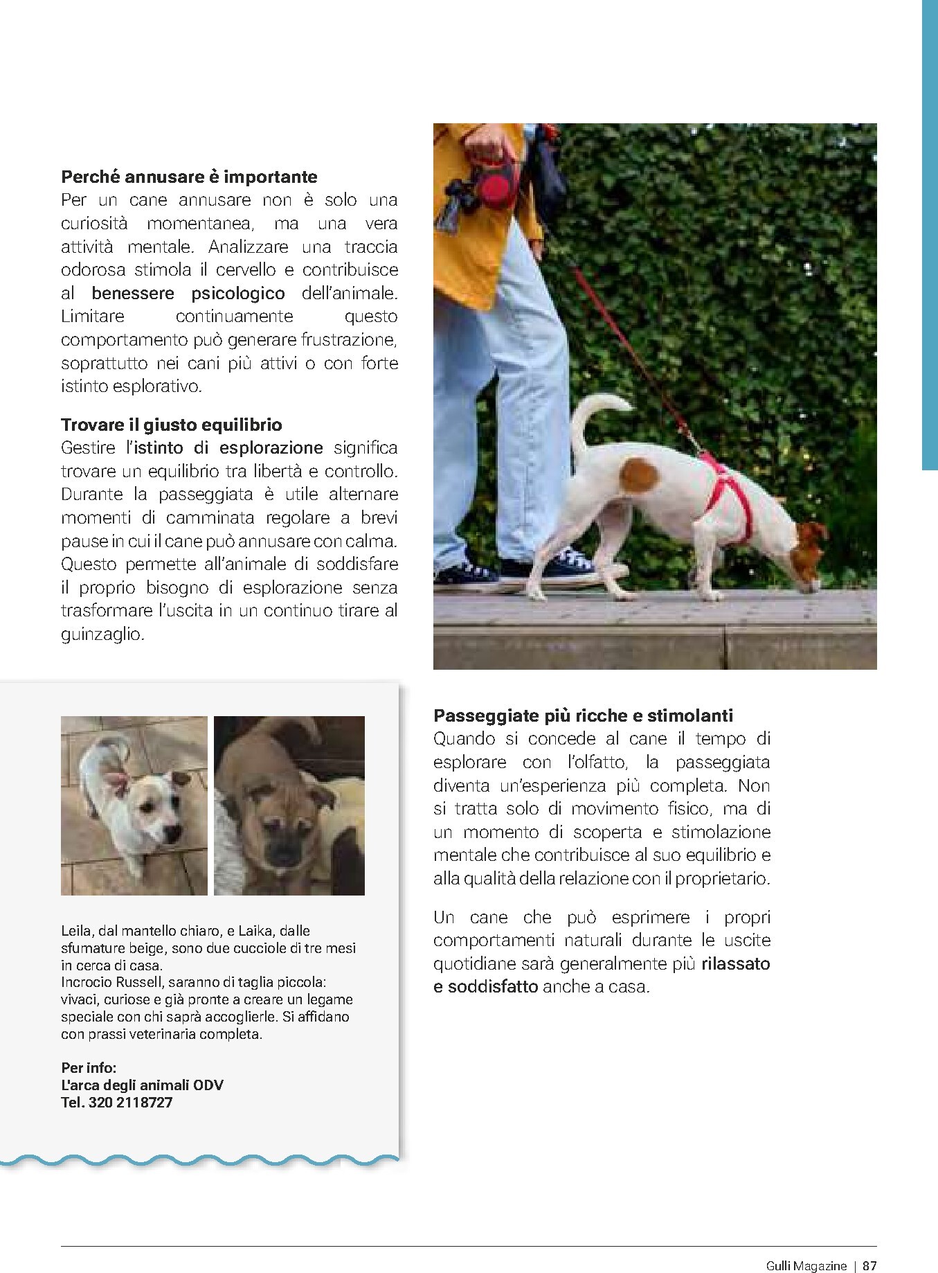 gulliver - Volantino Gulliver - Gulli Aprile 2026 valido dal 01/04/2026 al 30/04/2026 - page: 87