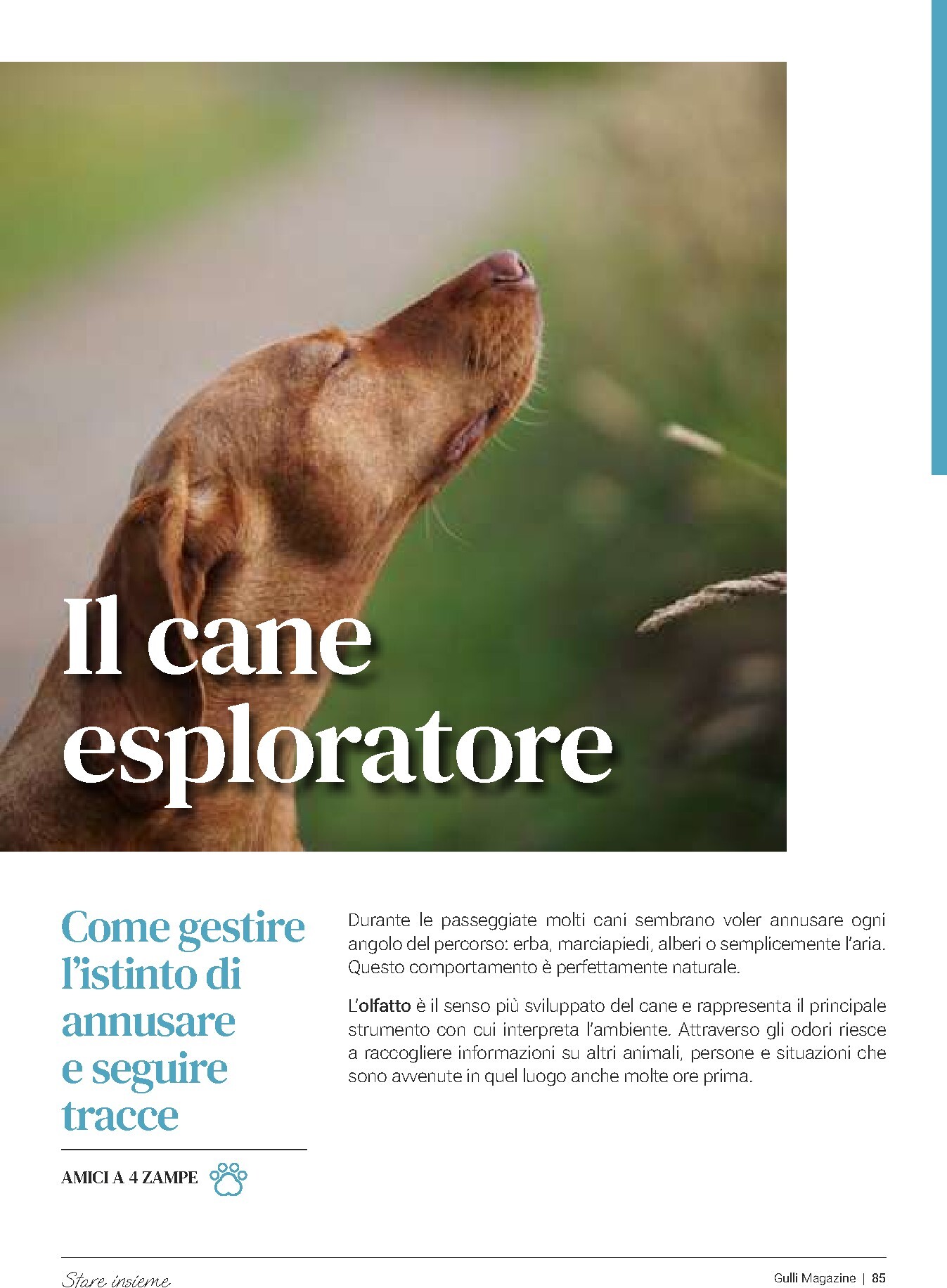 gulliver - Volantino Gulliver - Gulli Aprile 2026 valido dal 01/04/2026 al 30/04/2026 - page: 85