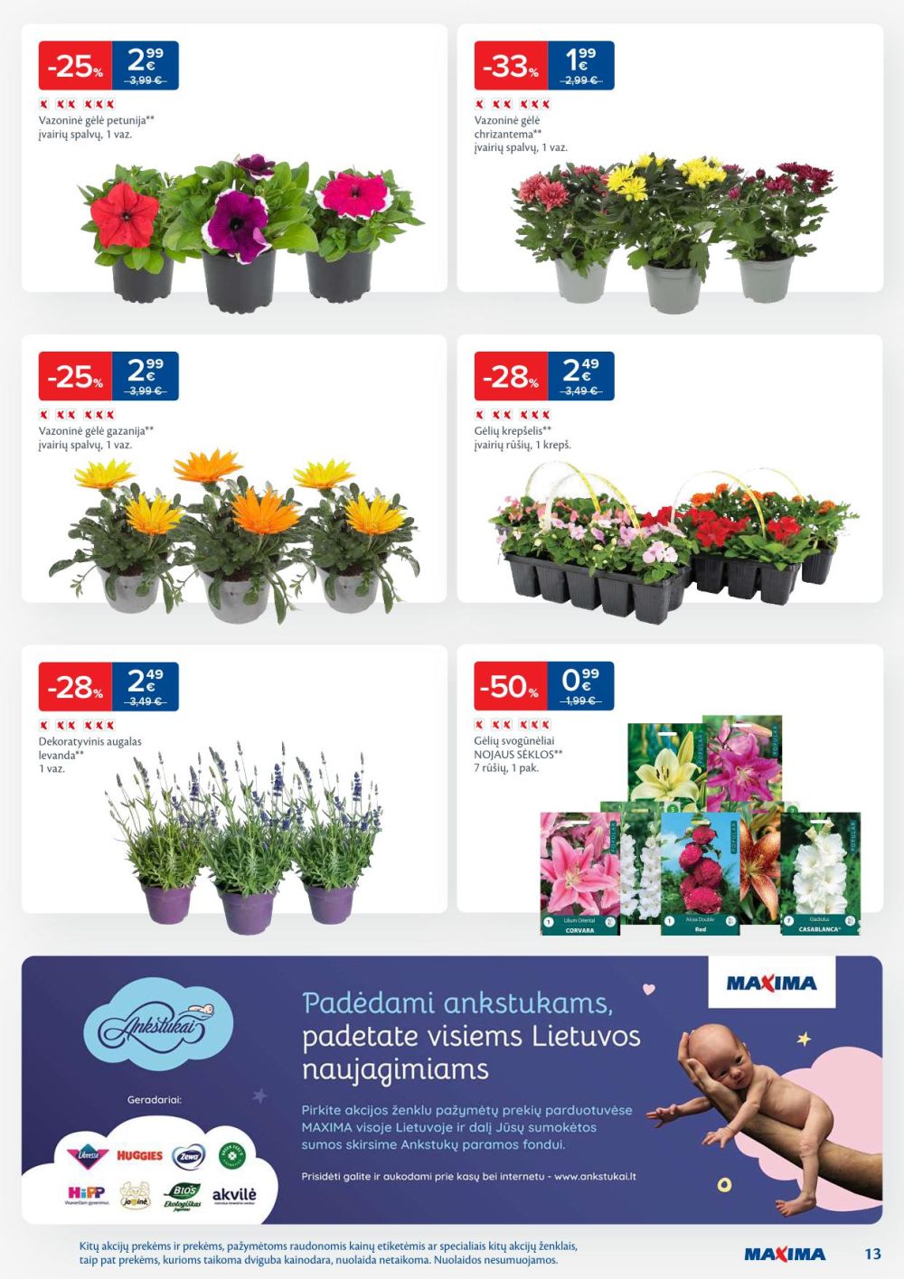 maxima - MAXIMA - Kaininis leidinys Nr.21 (2025 05 20 - 2025 05 26) - page: 13 maxima - MAXIMA - Kaininis leidinys Nr.21 (2025 05 20 - 2025 05 26) - page: 13