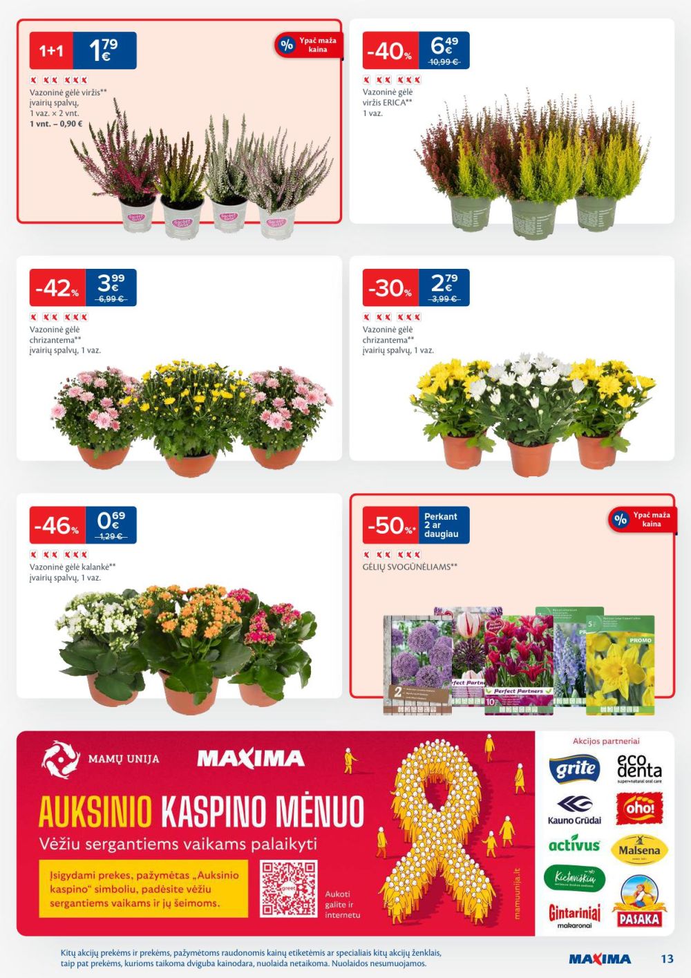 maxima - MAXIMA - Kaininis leidinys Nr.42 (2025 10 14 - 2025 10 20) - page: 13 maxima - MAXIMA - Kaininis leidinys Nr.42 (2025 10 14 - 2025 10 20) - page: 13