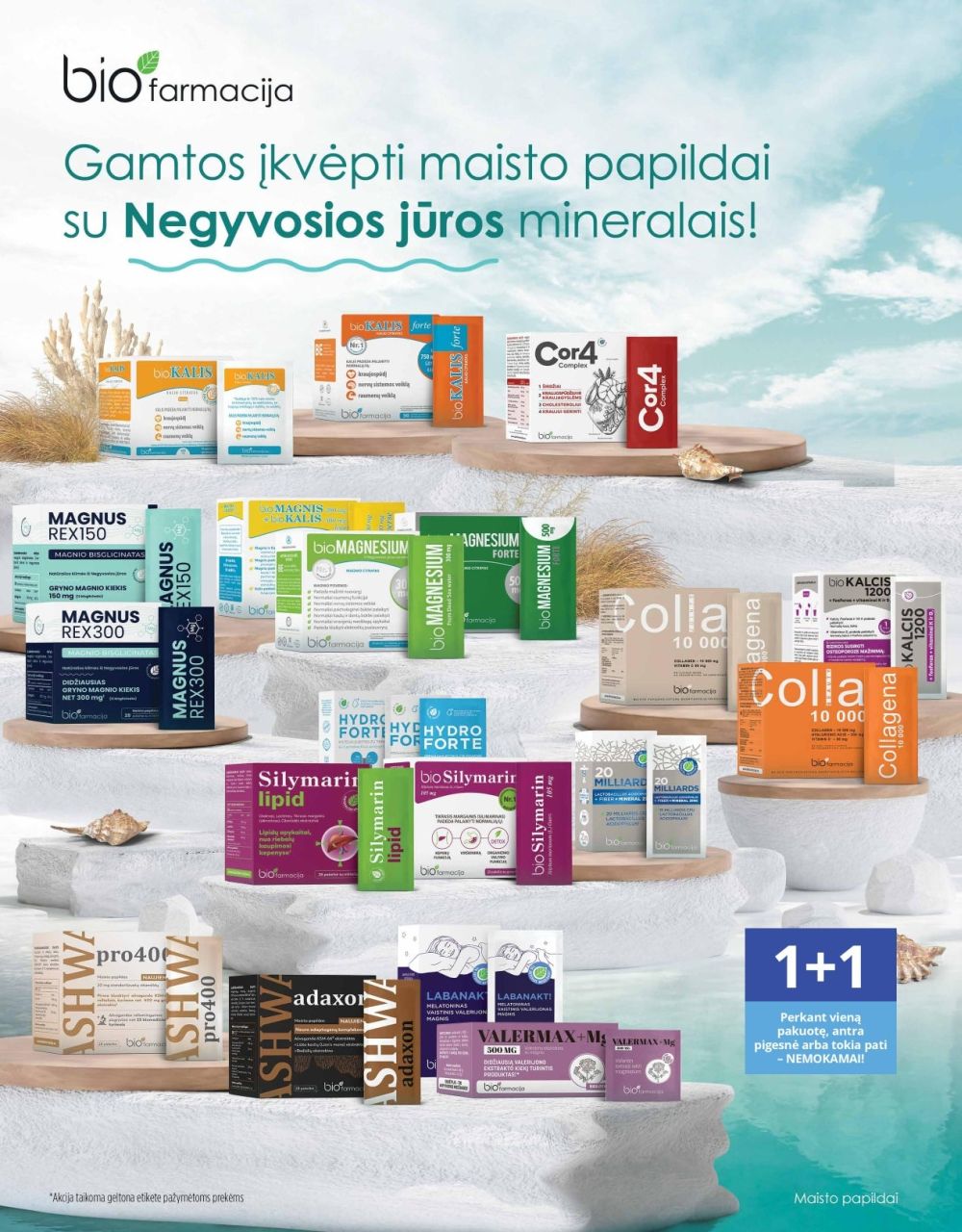 nvaistine - NVAISTINĖ (2026 02 01 - 2026 02 28) - page: 2