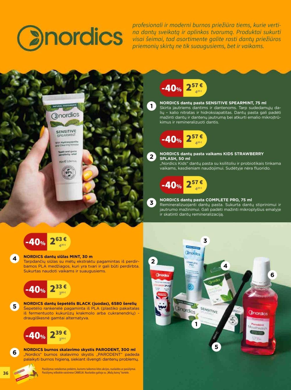 camelia - CAMELIA - Leidinys Nr.11 (2025 11 01 - 2025 11 30) - page: 36 camelia - CAMELIA - Leidinys Nr.11 (2025 11 01 - 2025 11 30) - page: 36