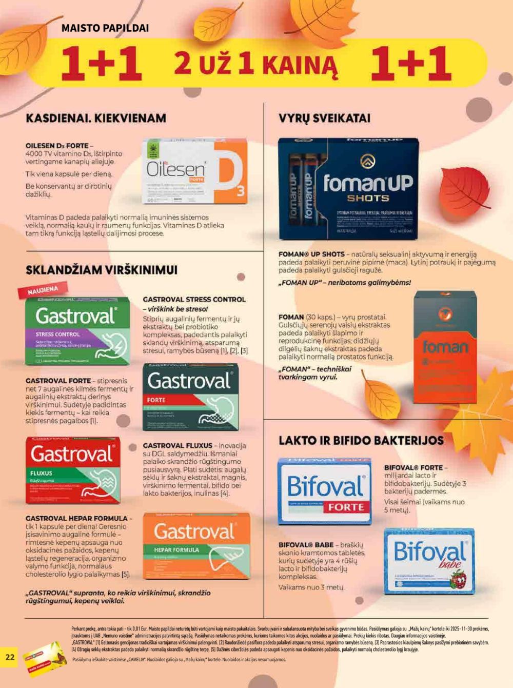 camelia - CAMELIA - Leidinys Nr.11 (2025 11 01 - 2025 11 30) - page: 22 camelia - CAMELIA - Leidinys Nr.11 (2025 11 01 - 2025 11 30) - page: 22