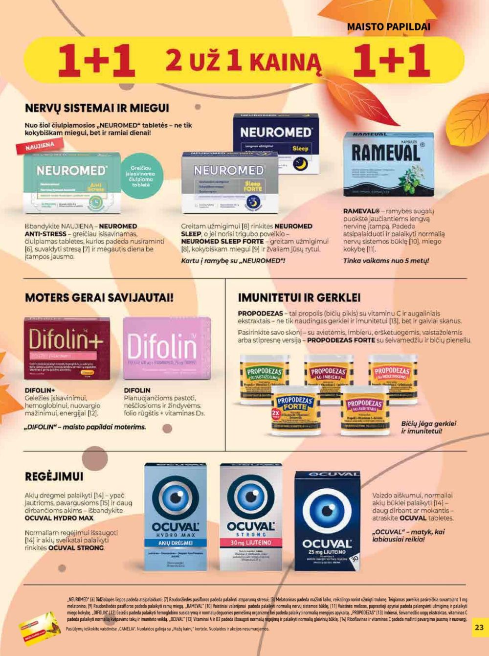 camelia - CAMELIA - Leidinys Nr.11 (2025 11 01 - 2025 11 30) - page: 23 camelia - CAMELIA - Leidinys Nr.11 (2025 11 01 - 2025 11 30) - page: 23