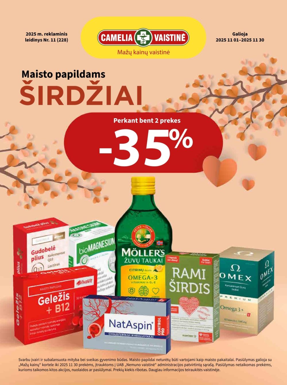 camelia - CAMELIA - Leidinys Nr.11 (2025 11 01 - 2025 11 30)