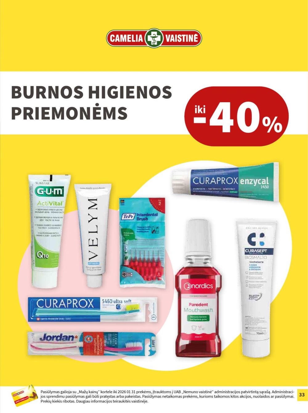 camelia - CAMELIA - Leidinys Nr.1 (2026 01 01 - 2026 01 31) - page: 33