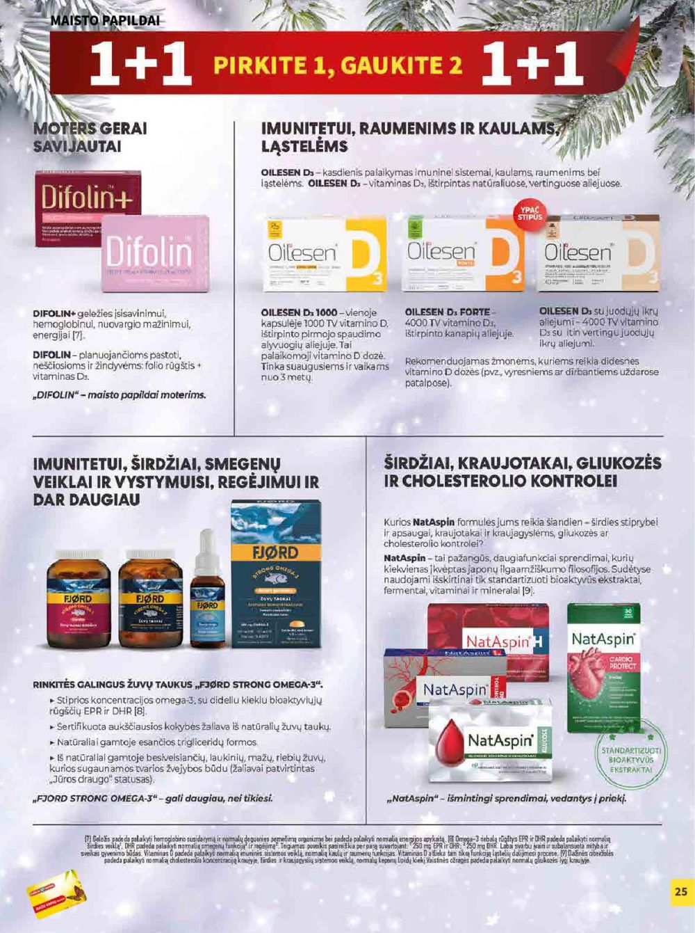 camelia - CAMELIA - Leidinys Nr.1 (2026 01 01 - 2026 01 31) - page: 25