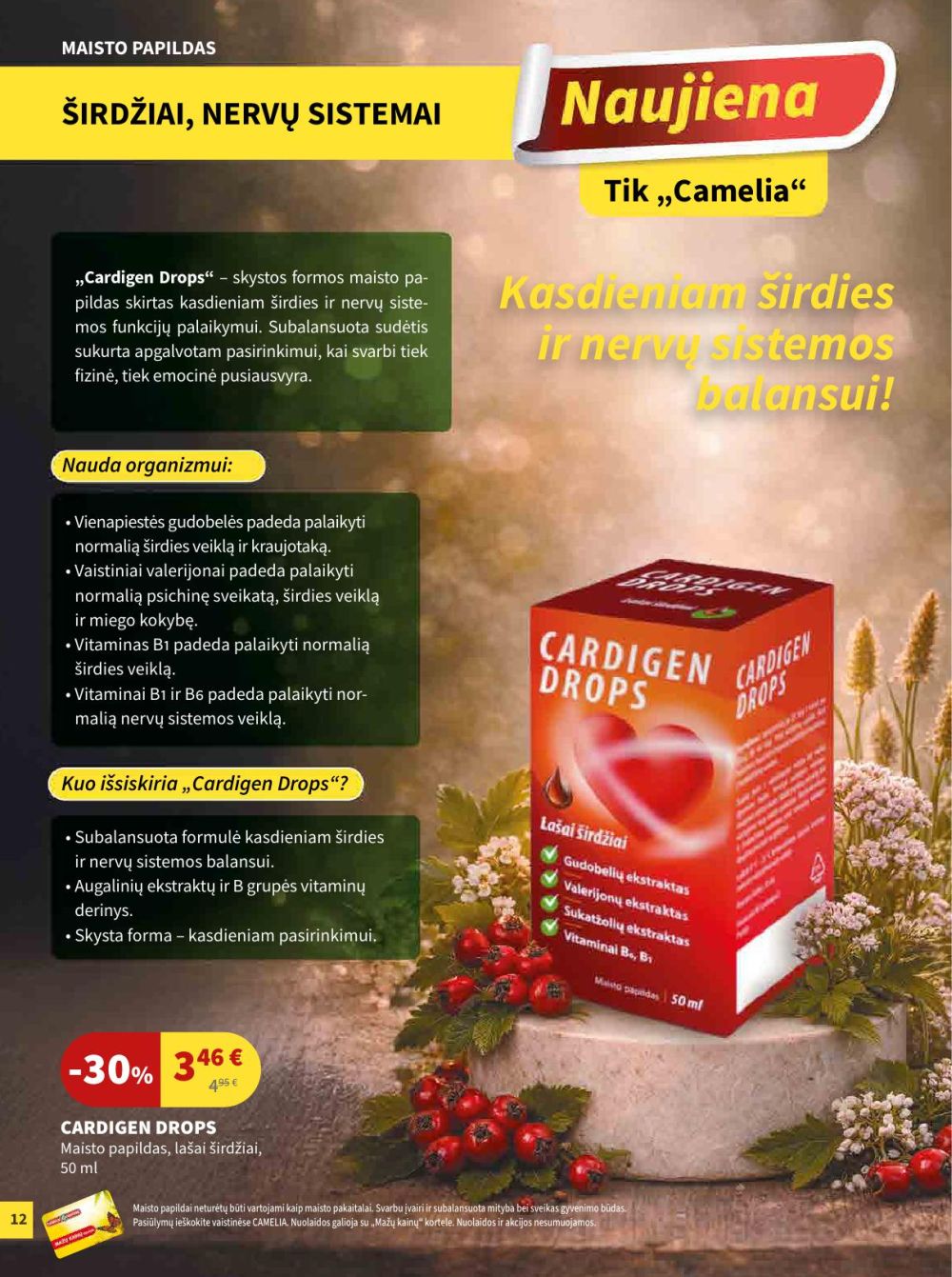 camelia - CAMELIA - Leidinys Nr.2 (2026 02 01 - 2026 02 28) - page: 12