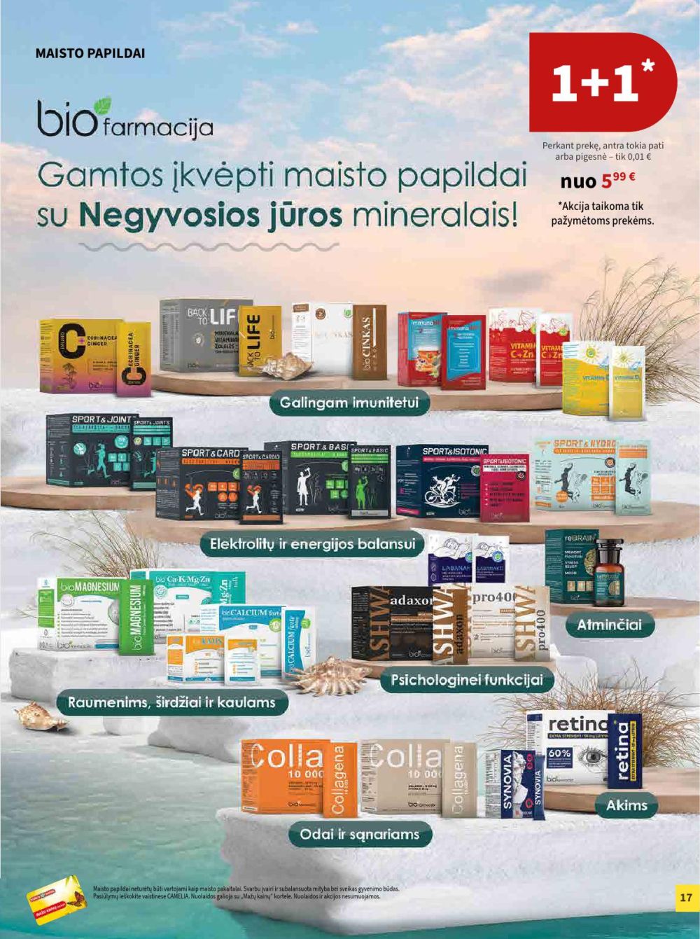 camelia - CAMELIA - Leidinys Nr.2 (2026 02 01 - 2026 02 28) - page: 17