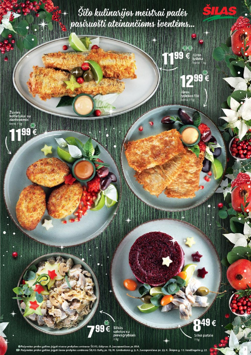 silas - ŠILAS - Leidinys Nr.25 (2025 12 17 - 2026 01 06) - page: 3