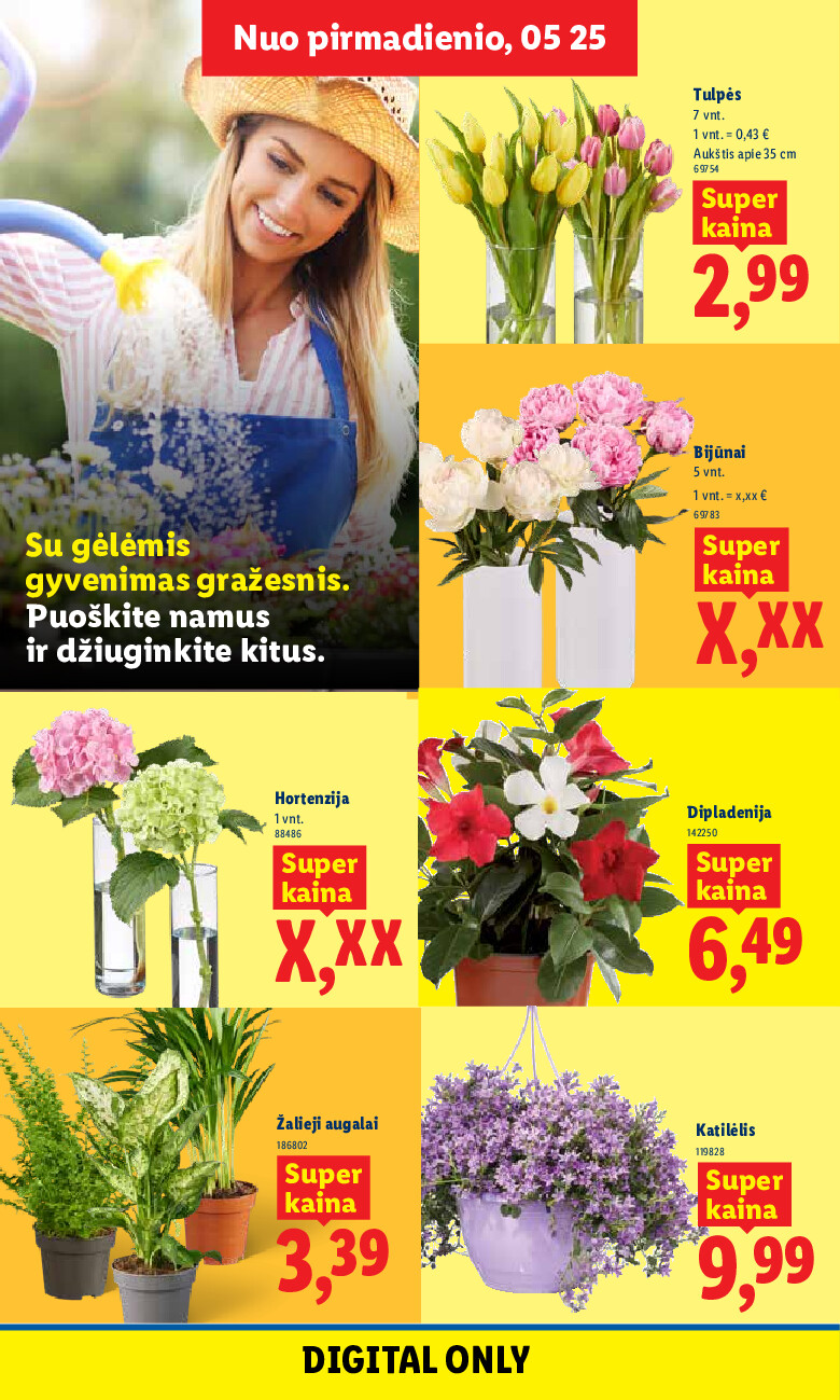 lidl - MAISTO PREKIŲ PASIŪLYMAI (2026-05-25 - 2026-05-31) - page: 6