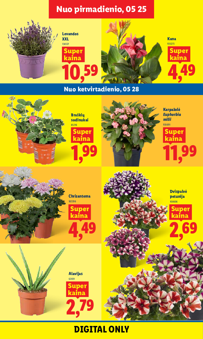 lidl - MAISTO PREKIŲ PASIŪLYMAI (2026-05-25 - 2026-05-31) - page: 7