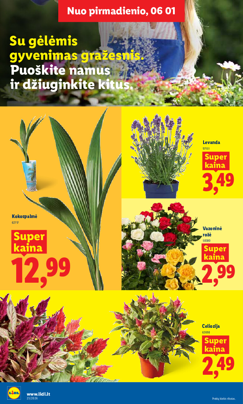 lidl - MAISTO PREKIŲ PASIŪLYMAI (2026-06-01 - 2026-06-07) - page: 8