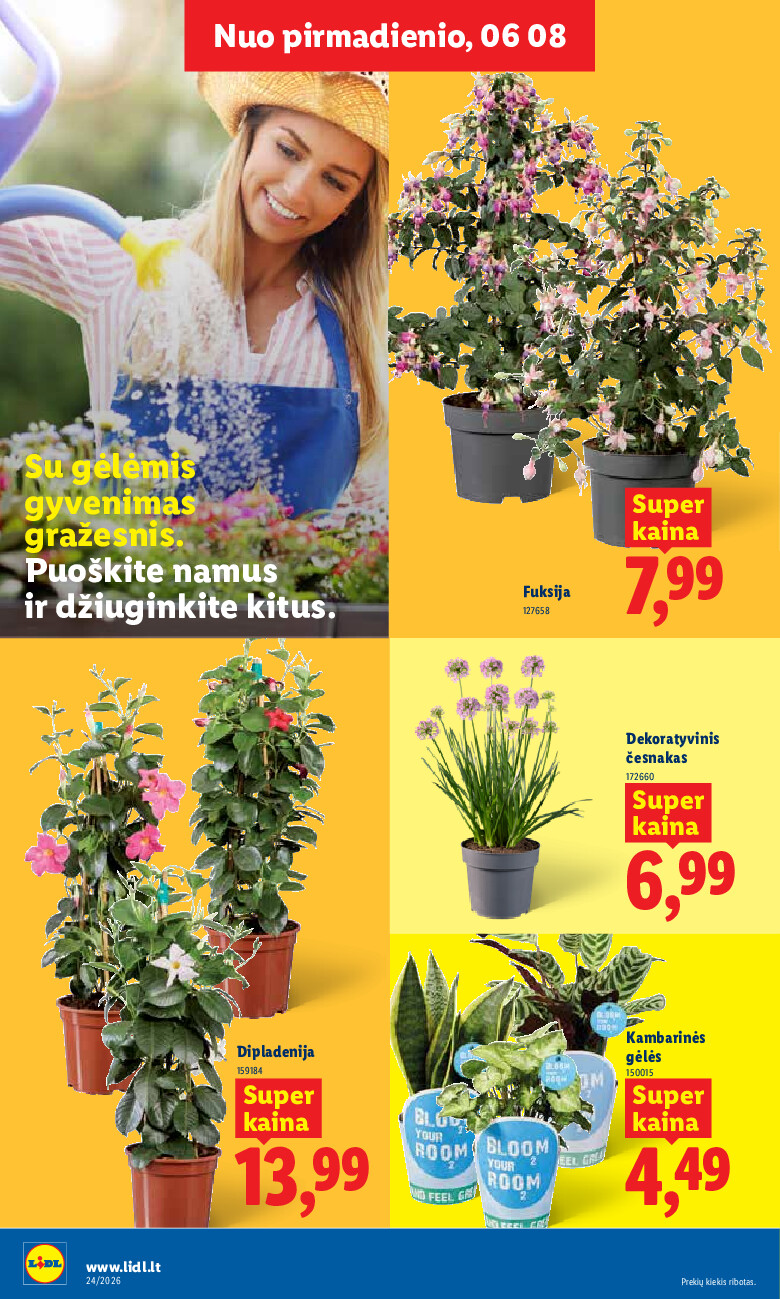 lidl - MAISTO PREKIŲ PASIŪLYMAI (2026-06-08 - 2026-06-14) - page: 8