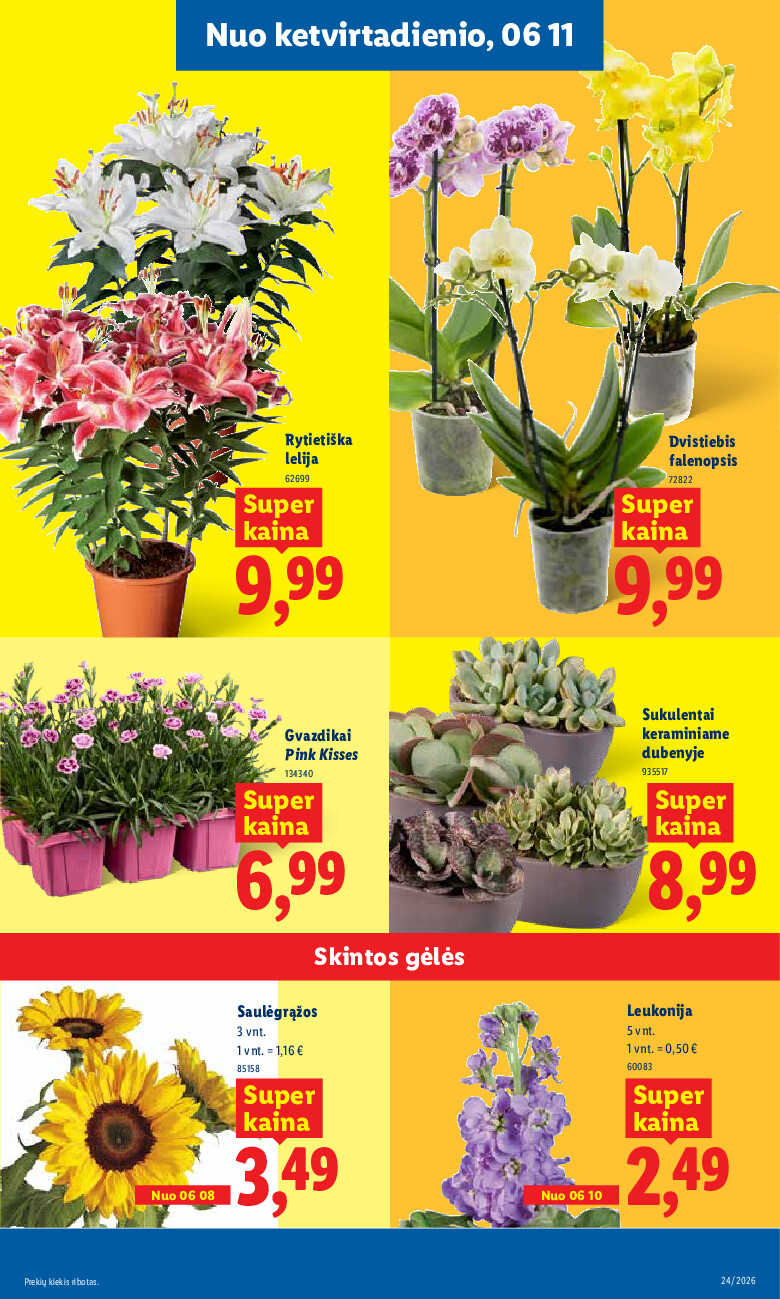 lidl - MAISTO PREKIŲ PASIŪLYMAI (2026-06-08 - 2026-06-14) - page: 9