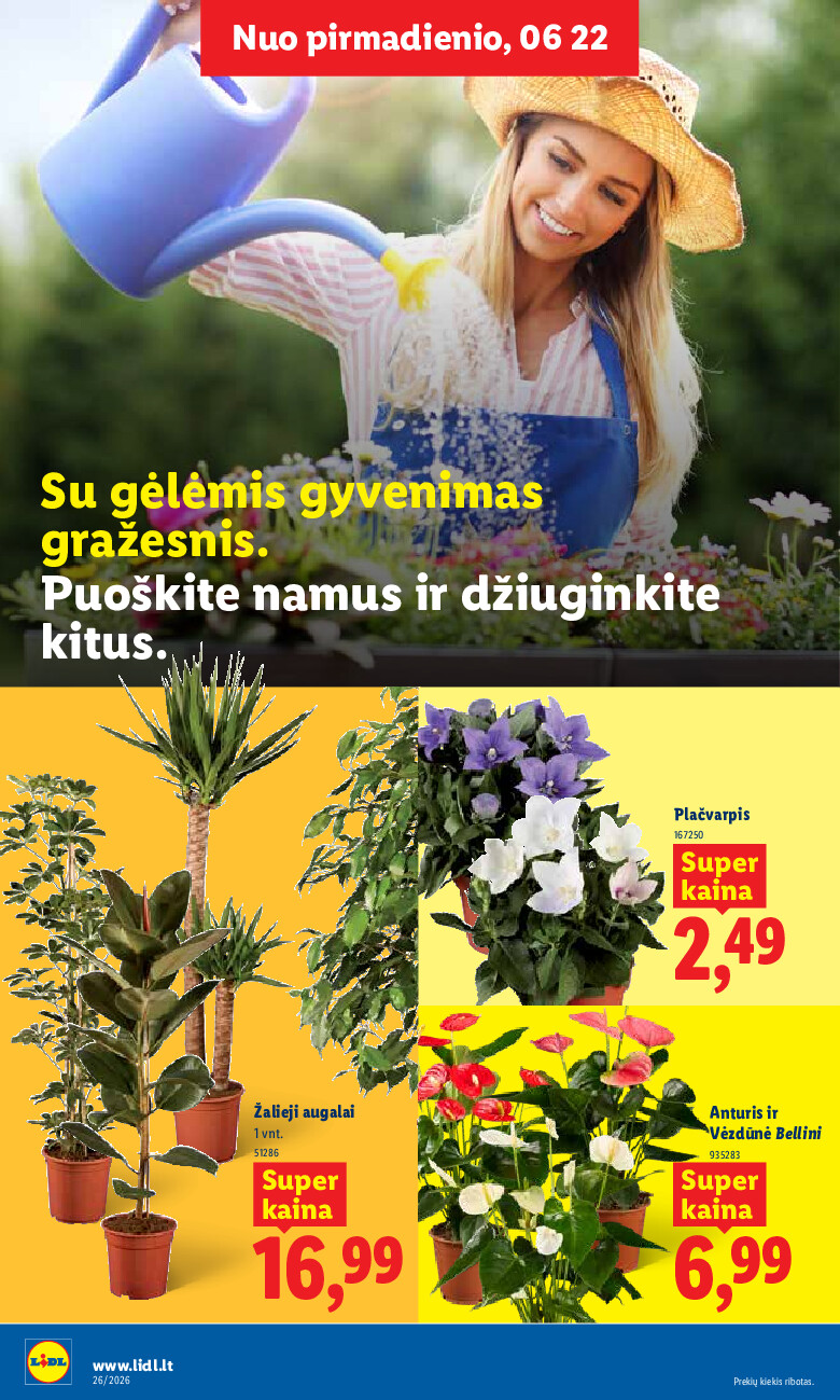 lidl - MAISTO PREKIŲ PASIŪLYMAI (2026-06-22 - 2026-06-28) - page: 8