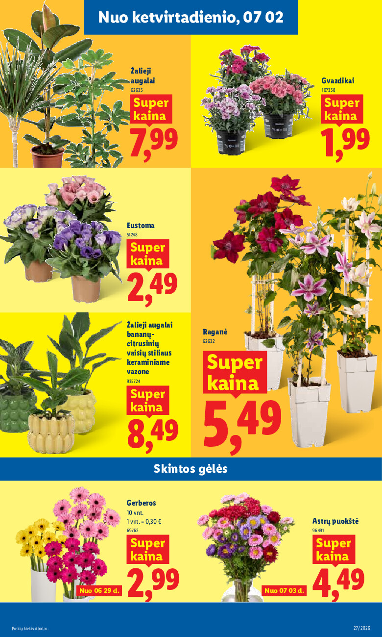 lidl - MAISTO PREKIŲ PASIŪLYMAI (2026-06-29 - 2026-07-05) - page: 9