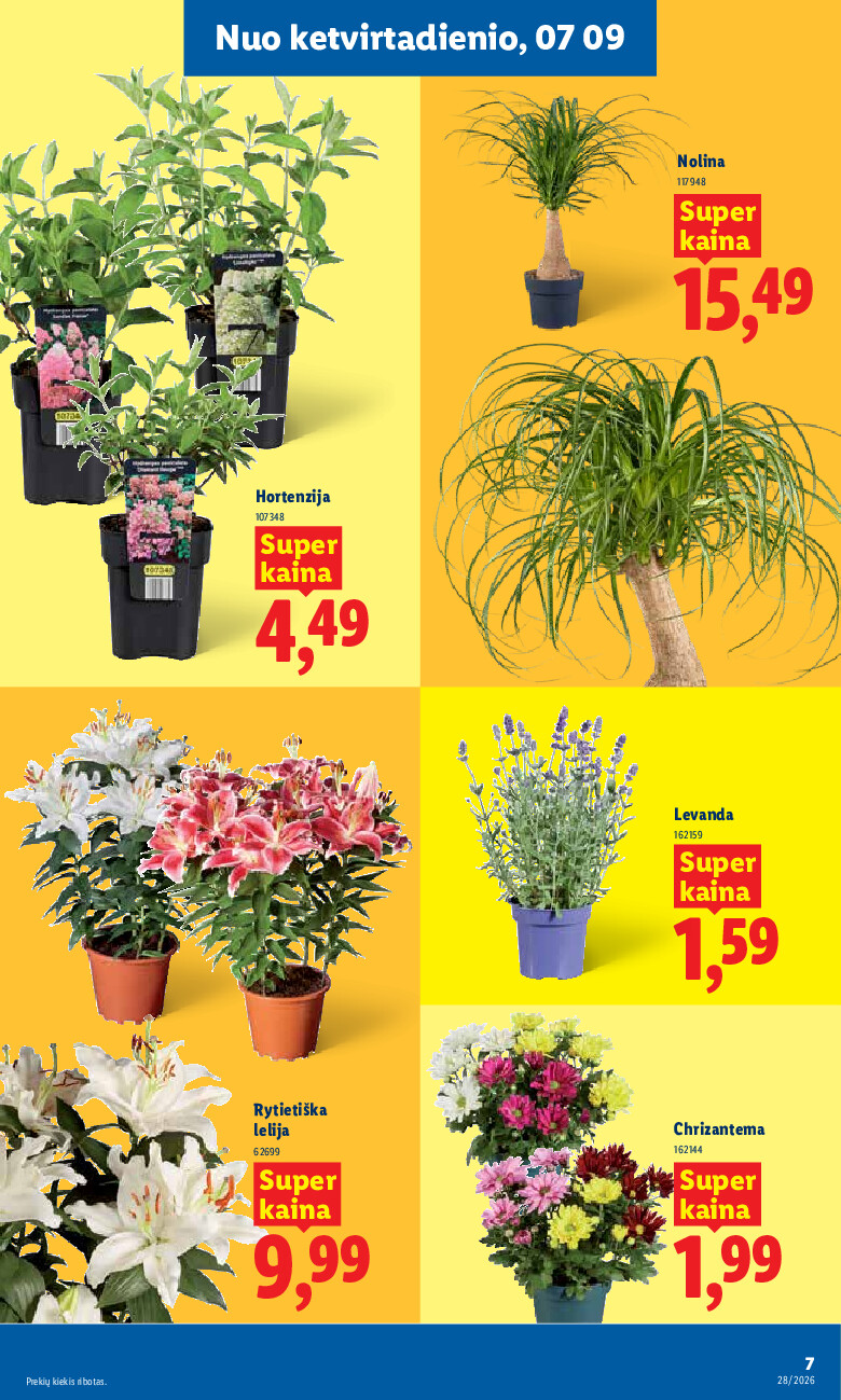lidl - MAISTO PREKIŲ PASIŪLYMAI (2026-07-06 - 2026-07-12) - page: 7