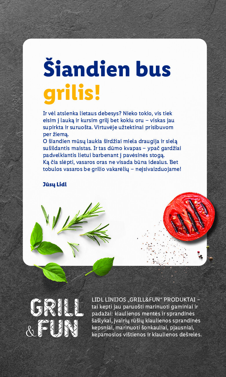 lidl - Grilio katalogas (2026-04-06 - 2026-08-31) - page: 2