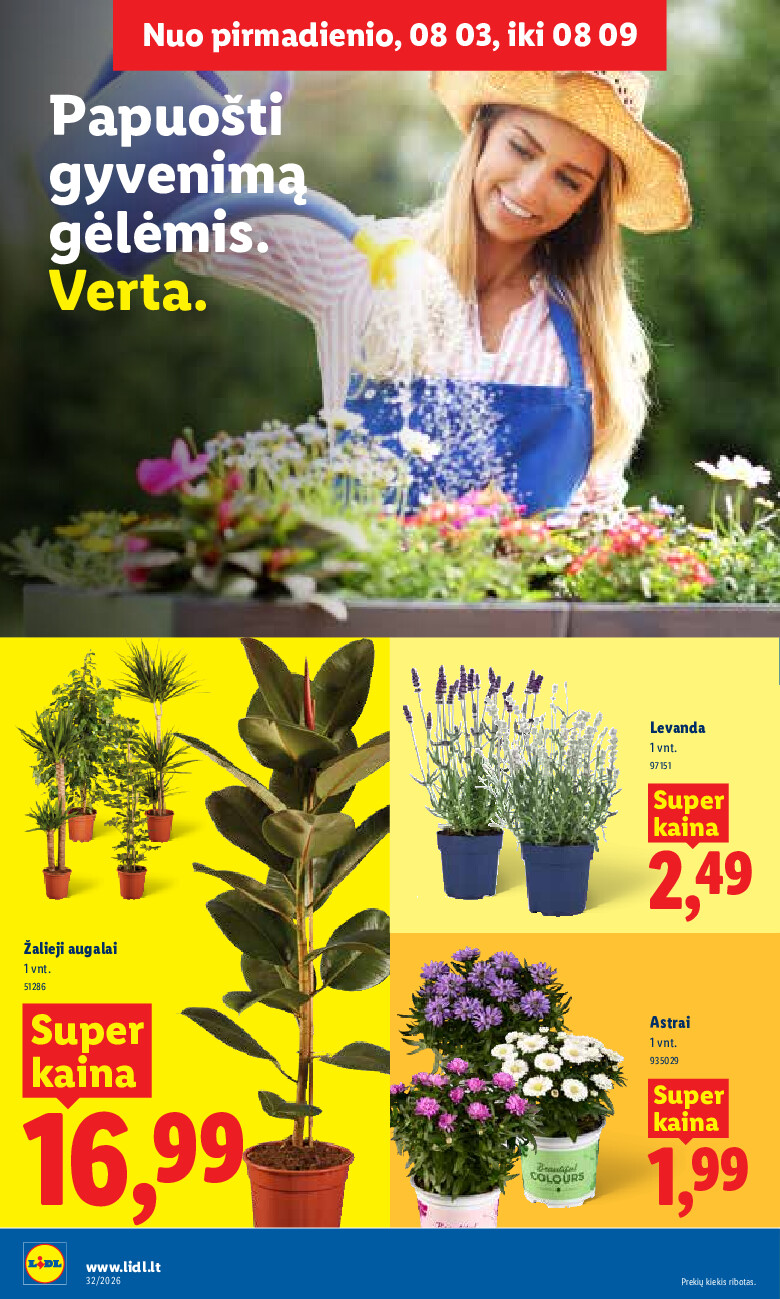 lidl - MAISTO PREKIŲ PASIŪLYMAI (2026-08-03 - 2026-08-09) - page: 6