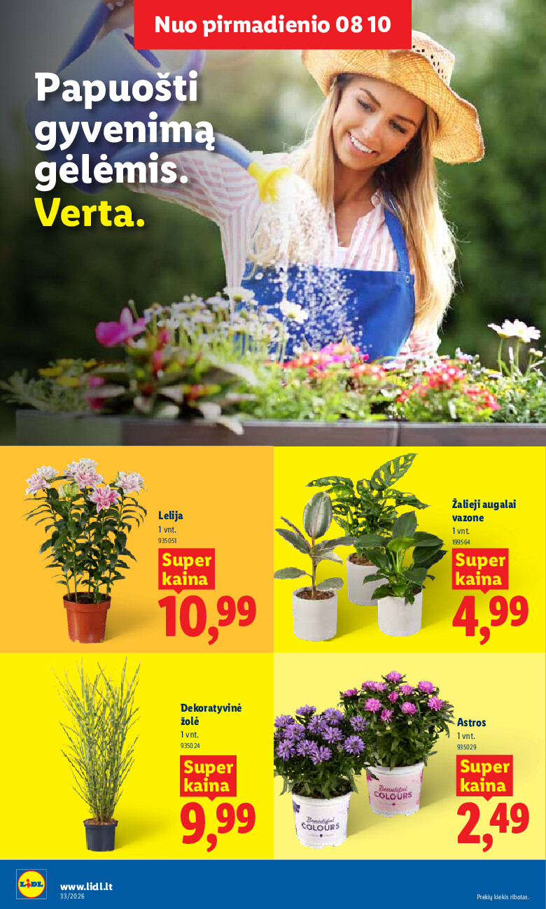 lidl - MAISTO PREKIŲ PASIŪLYMAI (2026-08-10 - 2026-08-16) - page: 12