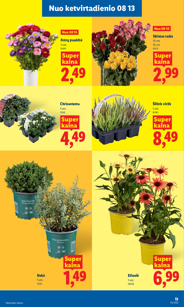 lidl - MAISTO PREKIŲ PASIŪLYMAI (2026-08-10 - 2026-08-16) - page: 13