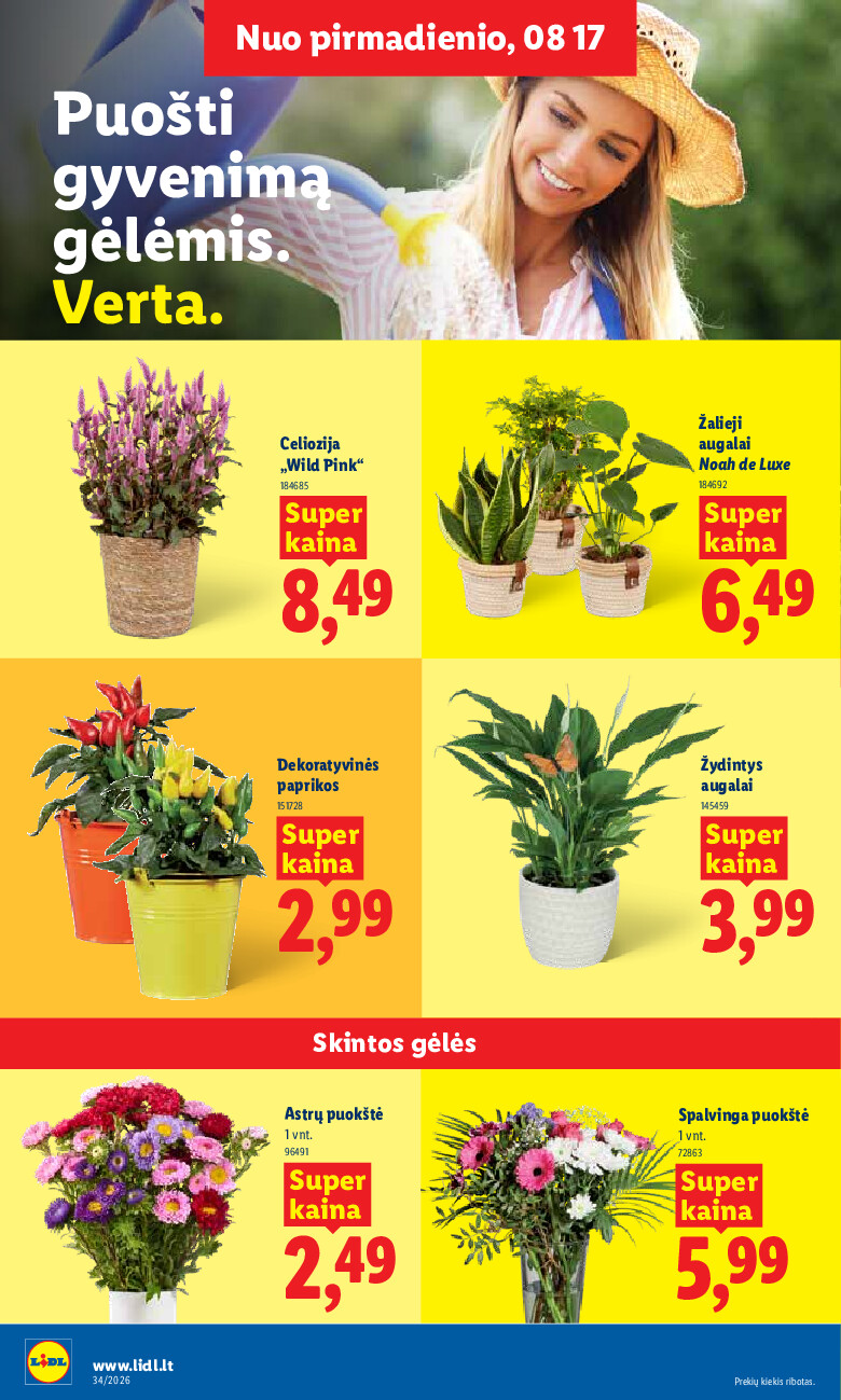 lidl - MAISTO PREKIŲ PASIŪLYMAI (2026-08-17 - 2026-08-23) - page: 4